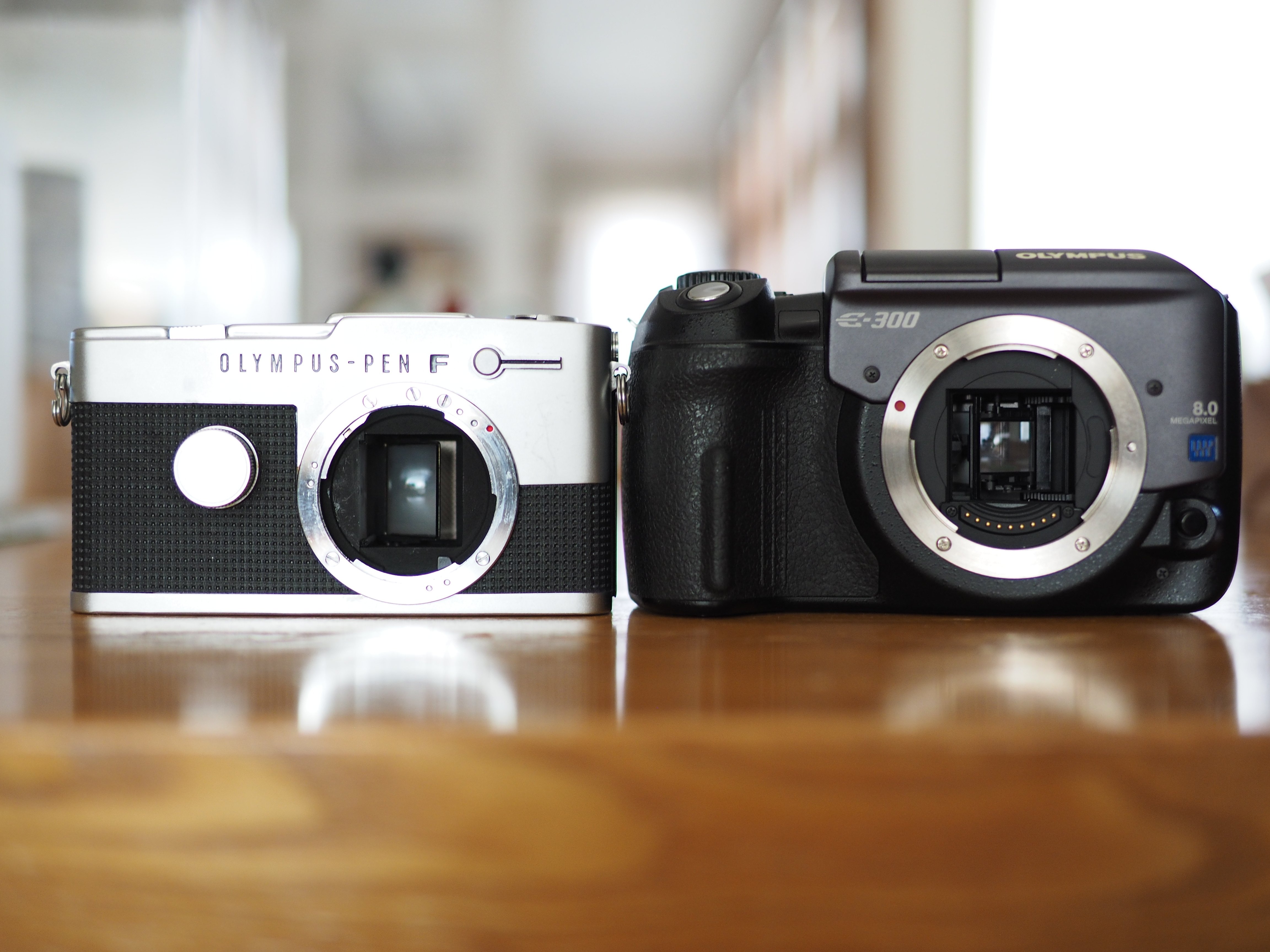 ペンFとE-300｜cherubino