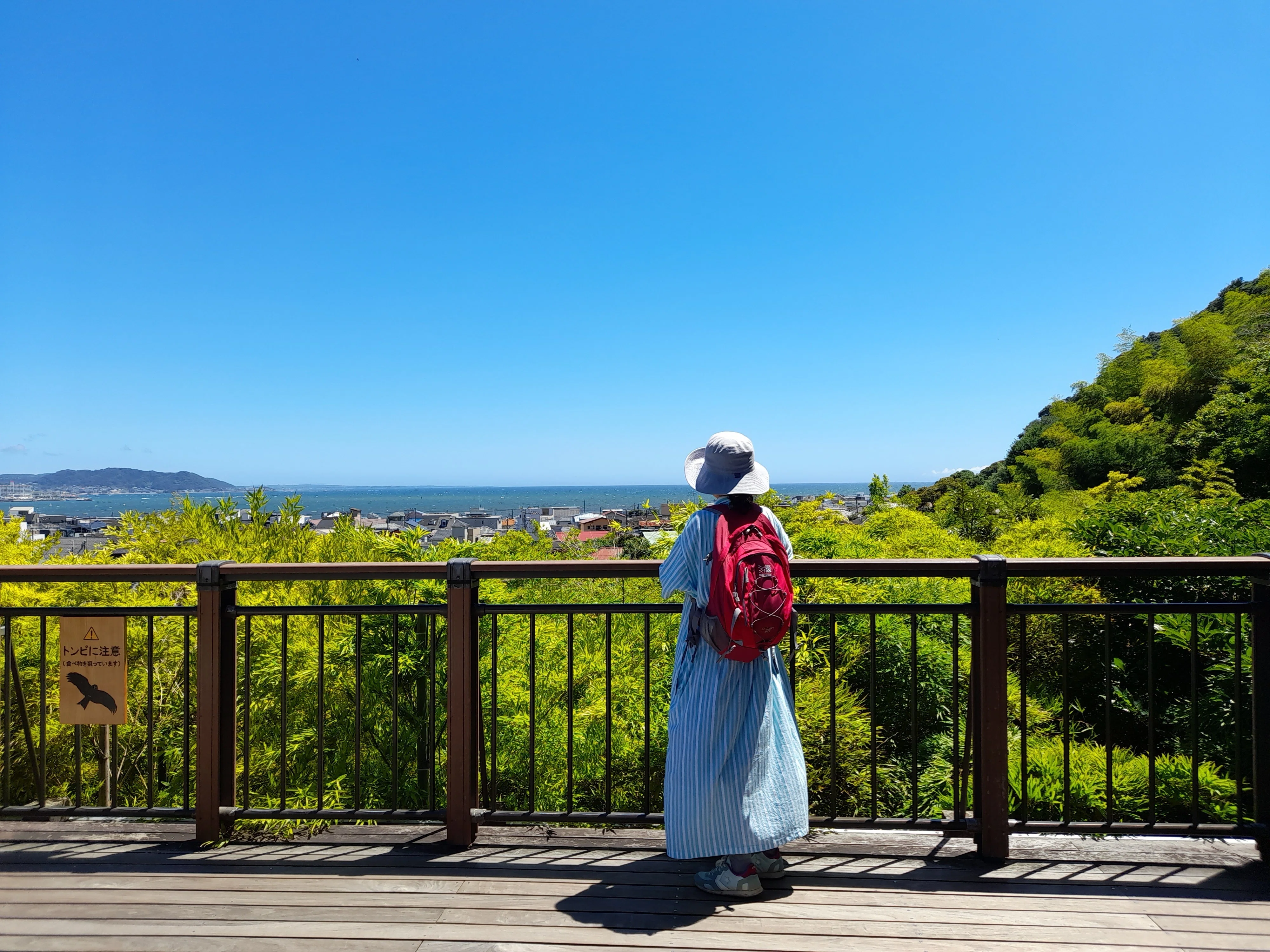夏の思い出】鎌倉へ旅する｜山口もも