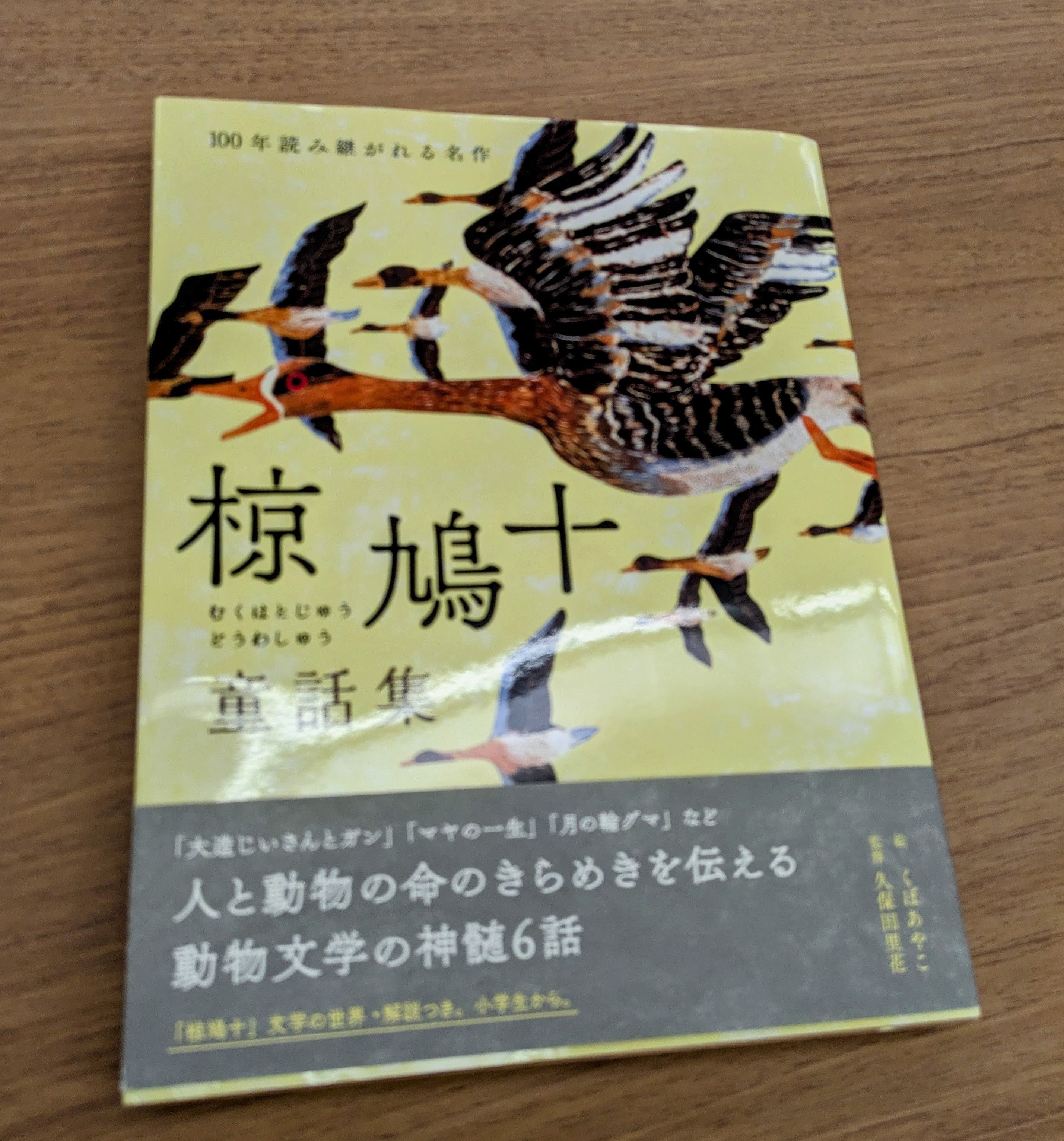 第160回きりしま読書会（夏の特別会）｜池田幹子