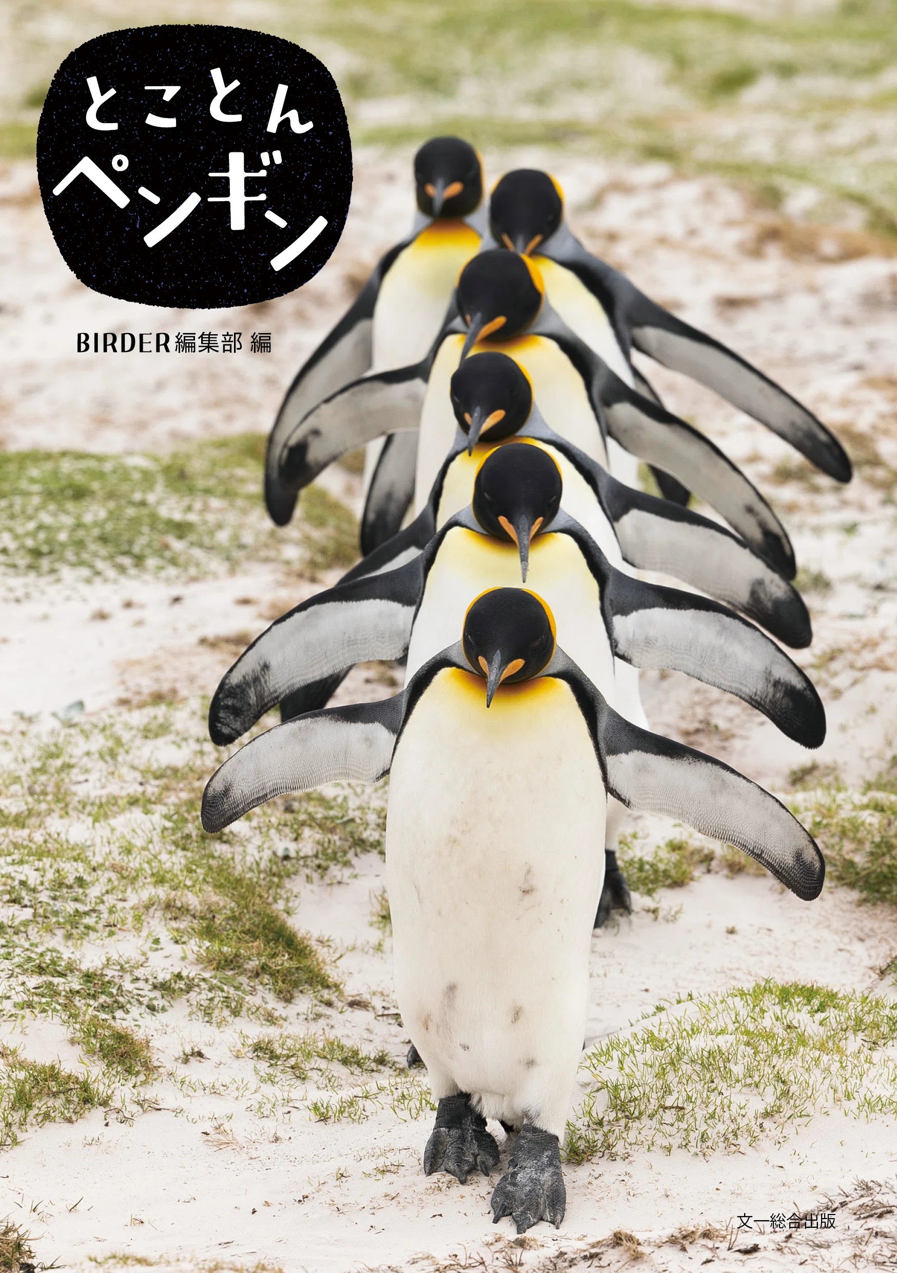 かわいいだけじゃない！ ペンギンの秘密に迫る本｜ブンイチ（文一総合