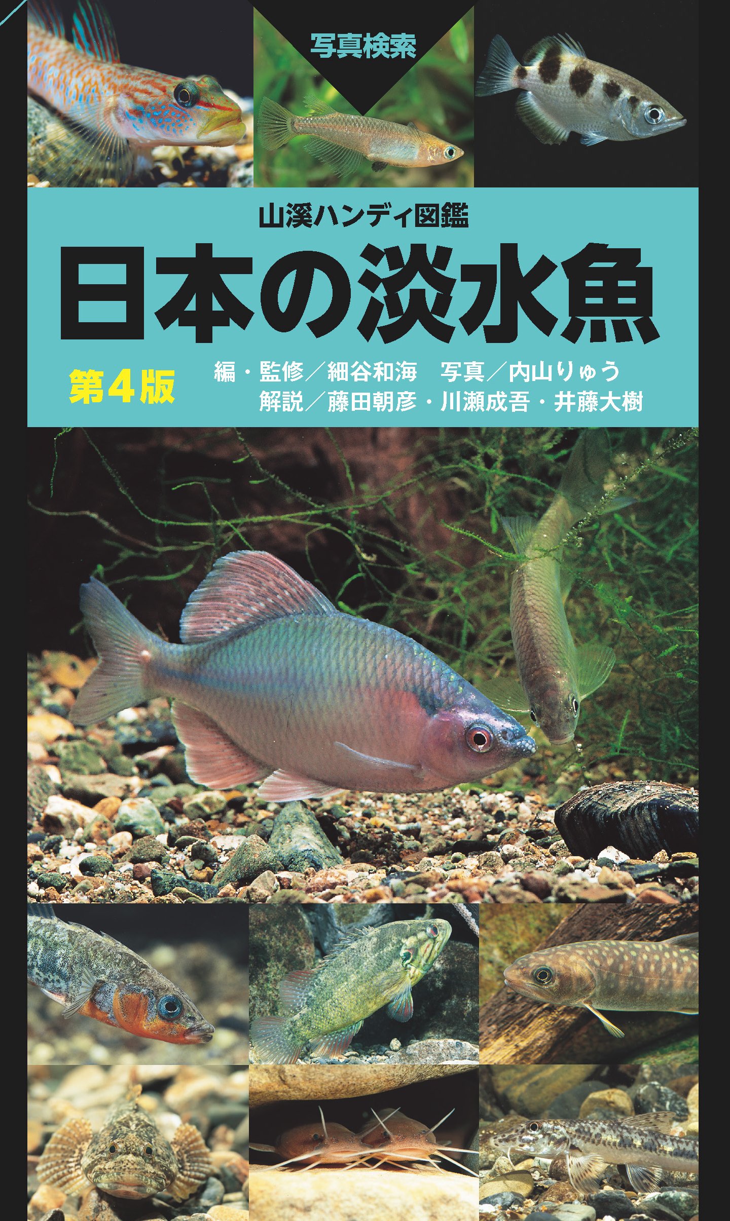 ハンディ図鑑 日本の淡水魚』が第4版に！｜ヤマケイの本