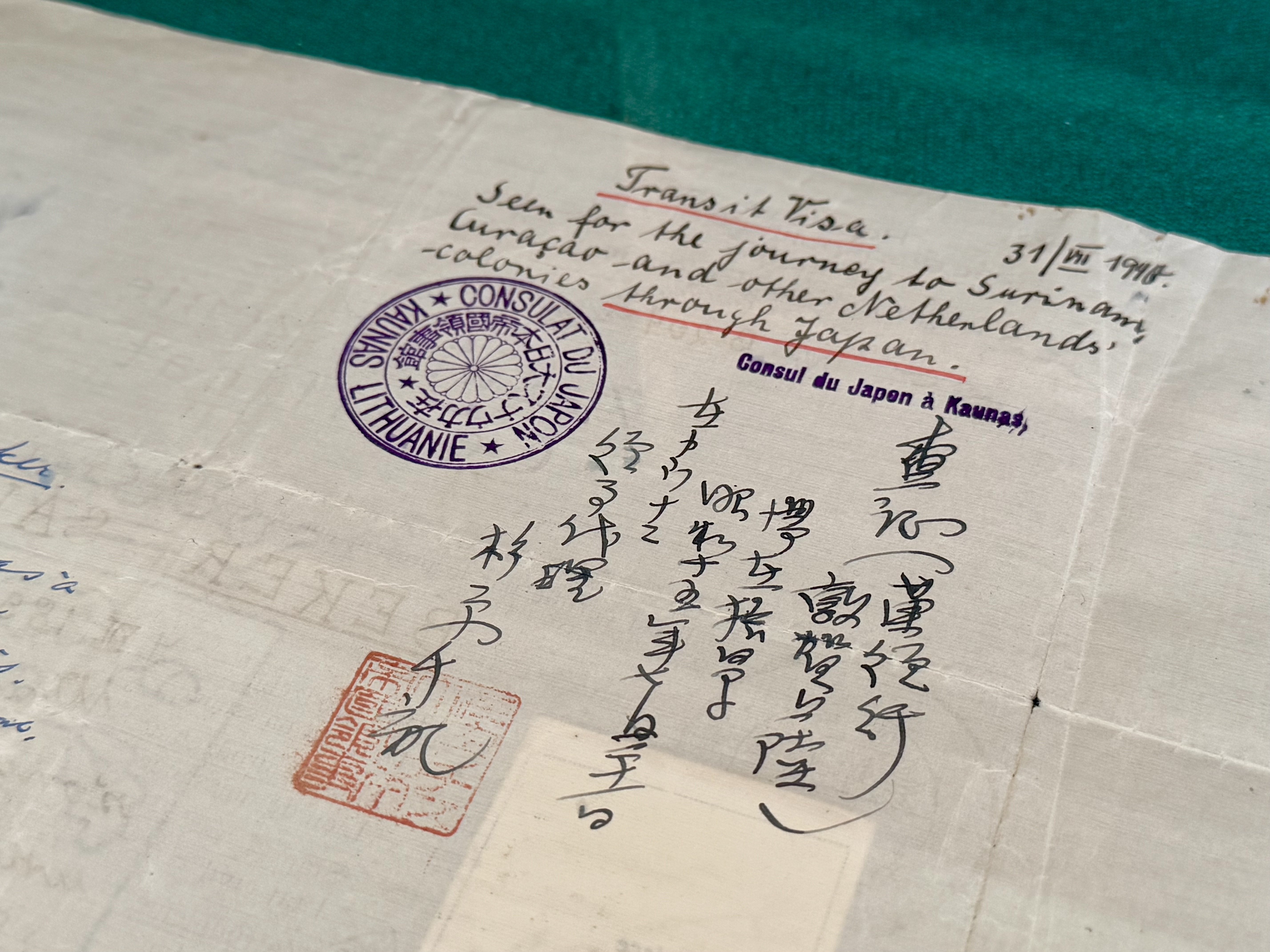 旅のすべてが変わっても、好奇心さえ失わなければ｜手塚 大貴