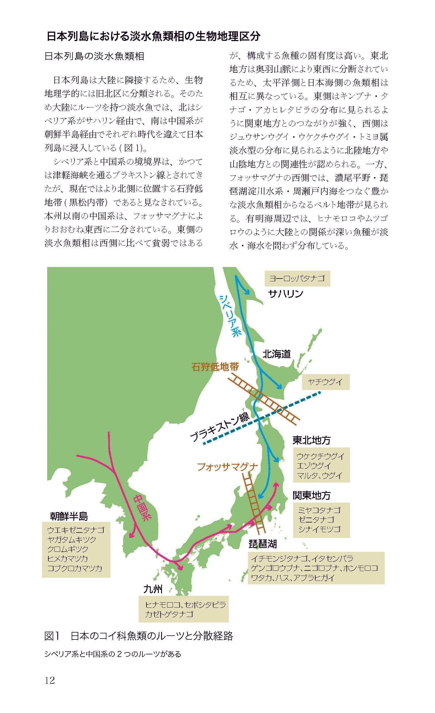 ハンディ図鑑 日本の淡水魚』が第4版に！｜ヤマケイの本