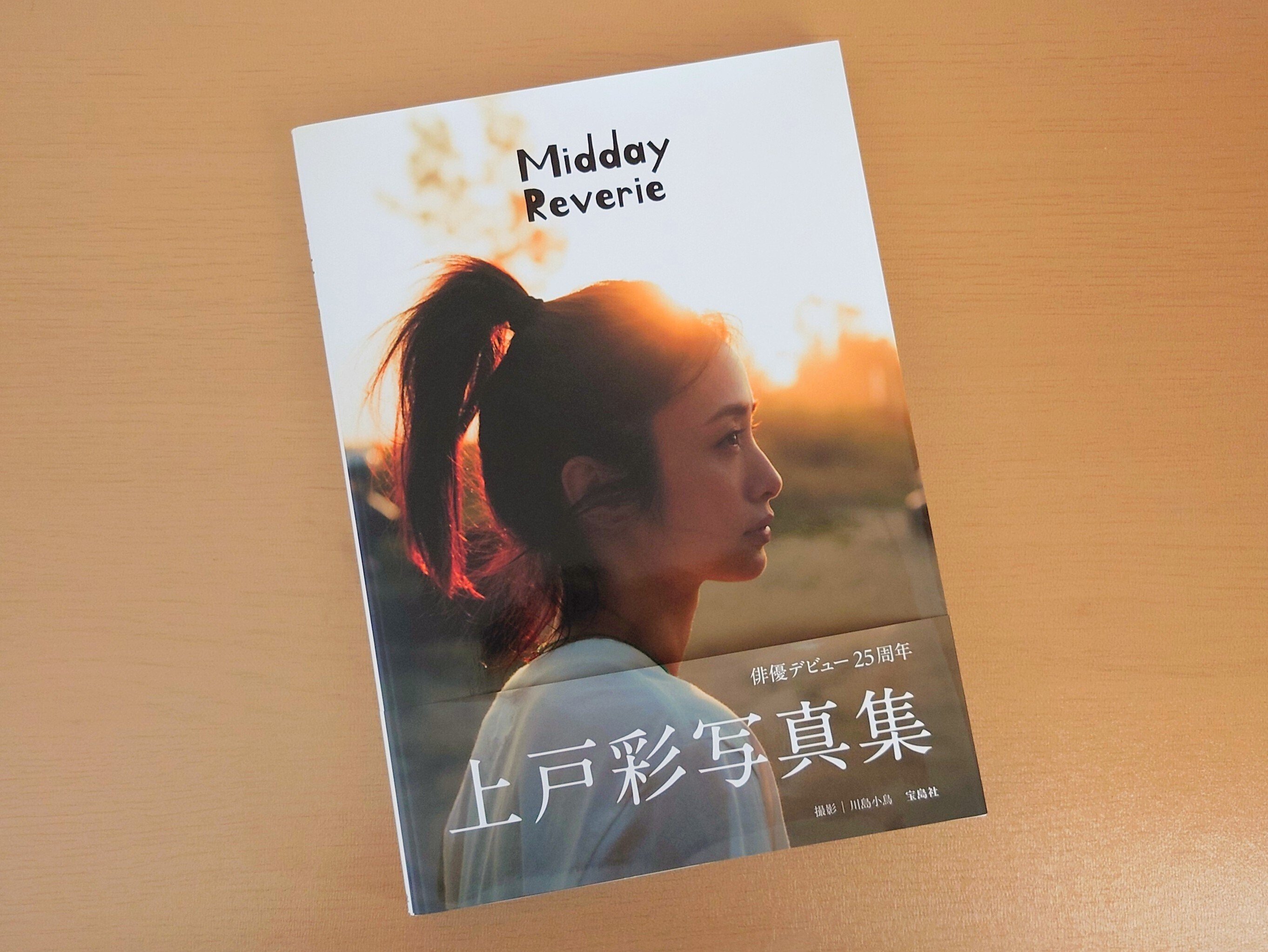 非売品　上戸彩さんライブ　イベントアクセスパス 非売品 上戸彩さんライブ イベントアクセスパス