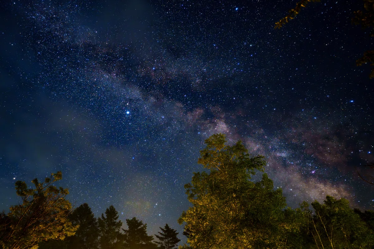 夏の夜空を彩る星たちと|Xinn