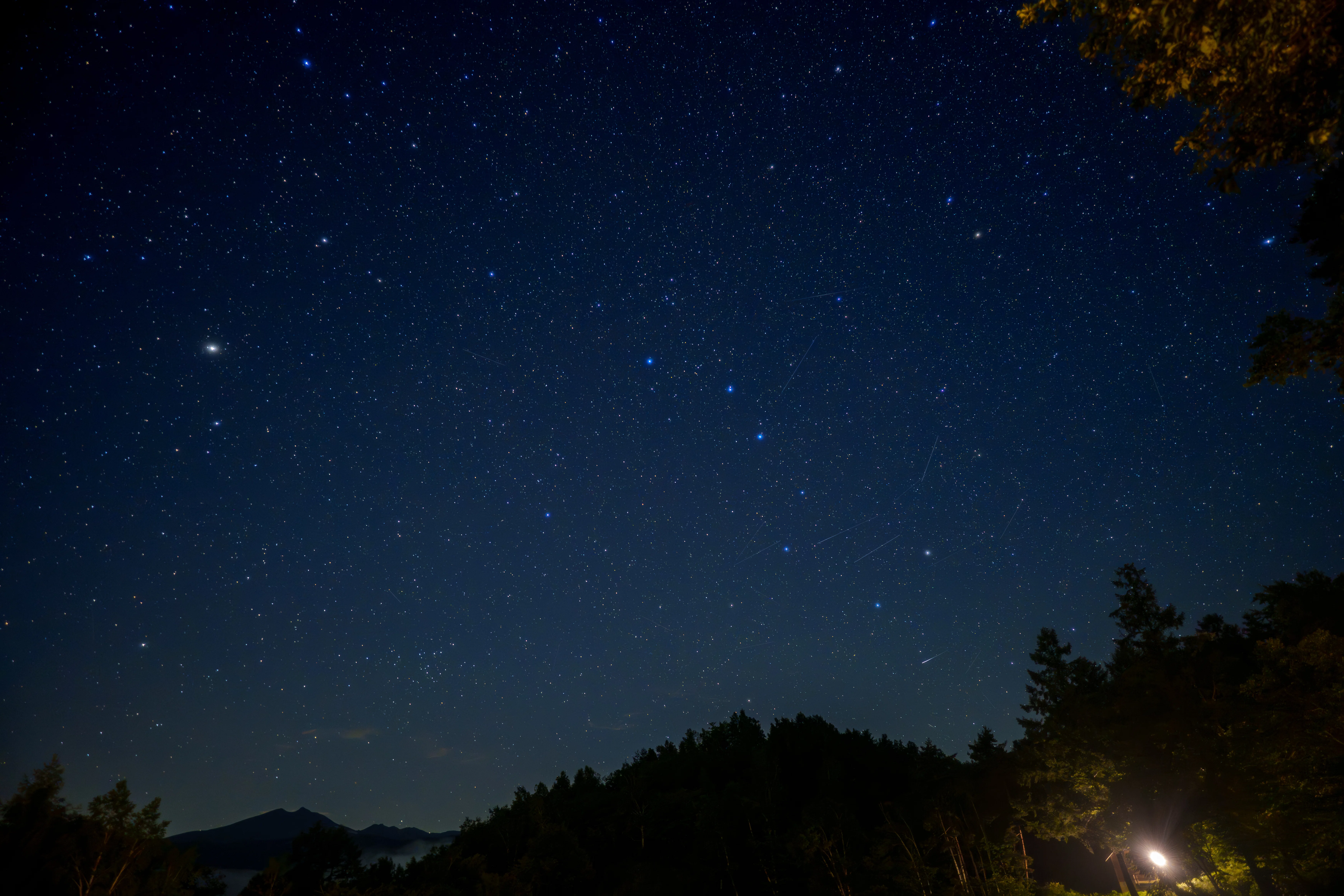 夏の夜空を彩る星たちと｜Xinn