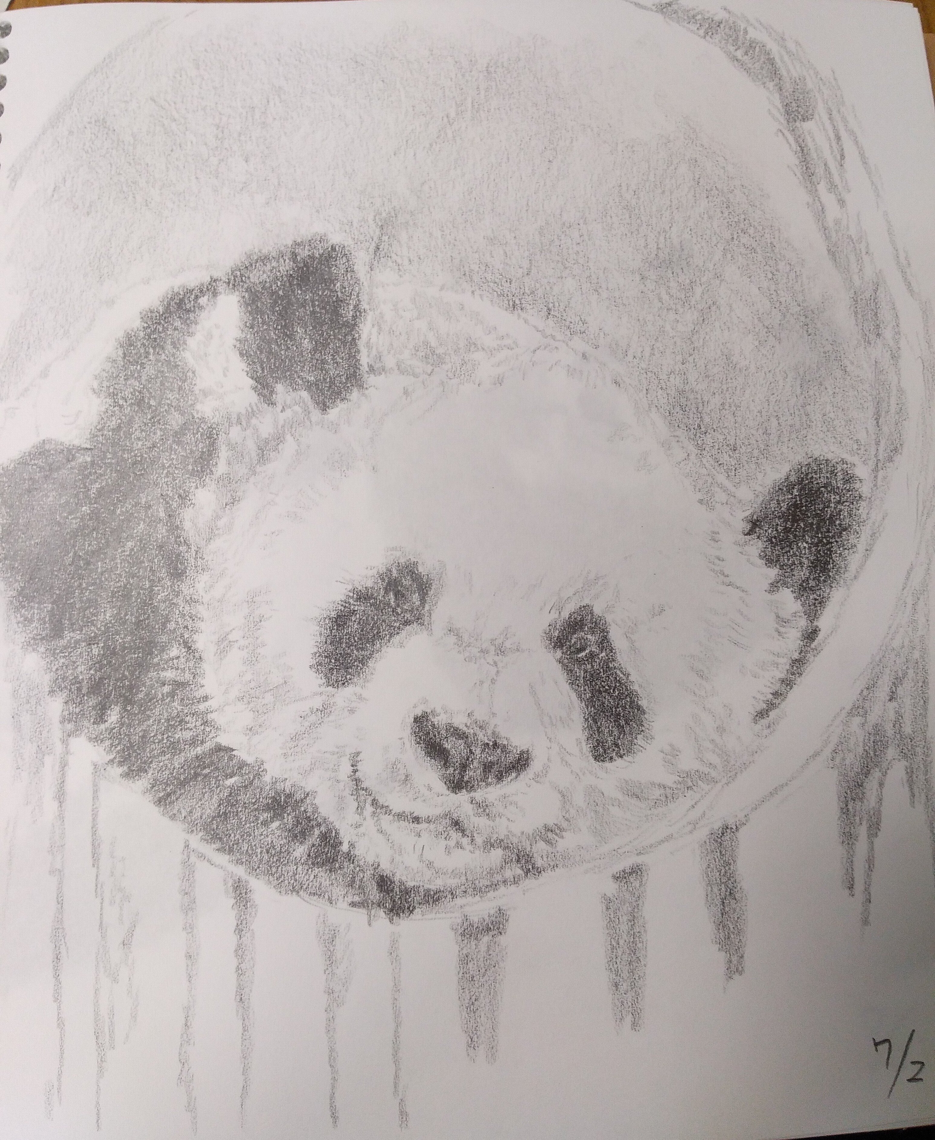 パンダデッサン練習第14週 7/27-8/2｜こひろ@こぎん刺しのテディベア