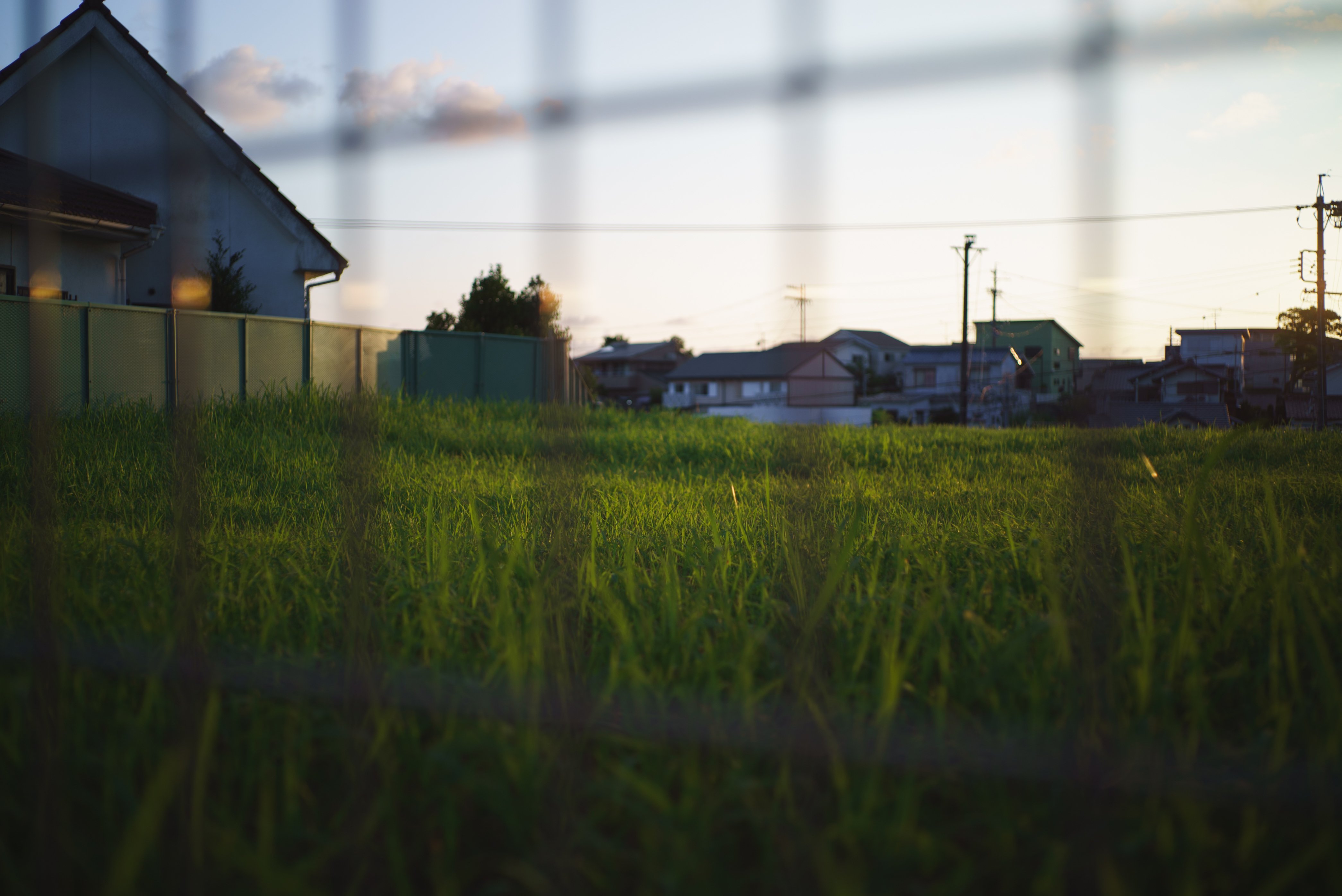 作例アリ Voigtlander color-skopar 35mm F2.5 はじめてのVoigtlander｜Color-Skopar 35mm f2.5 PⅡ｜イノウエノリユキ