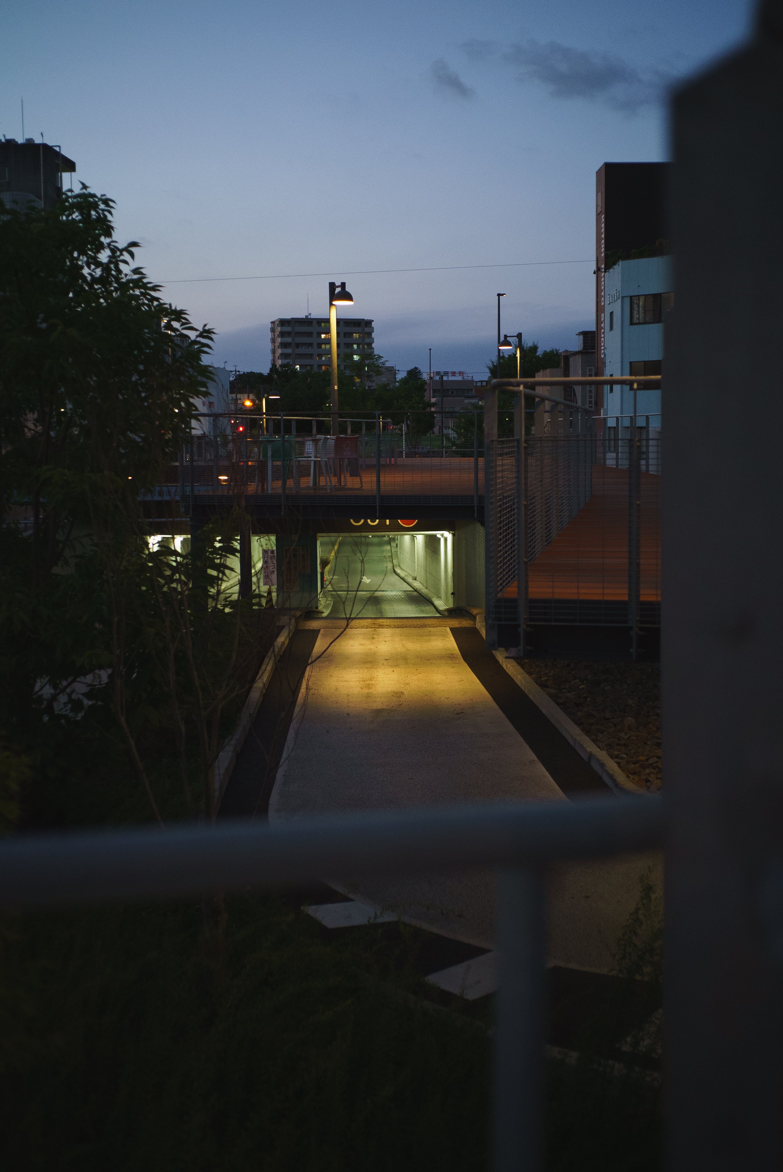 はじめてのVoigtlander｜Color-Skopar 35mm f2.5 PⅡ｜イノウエノリユキ