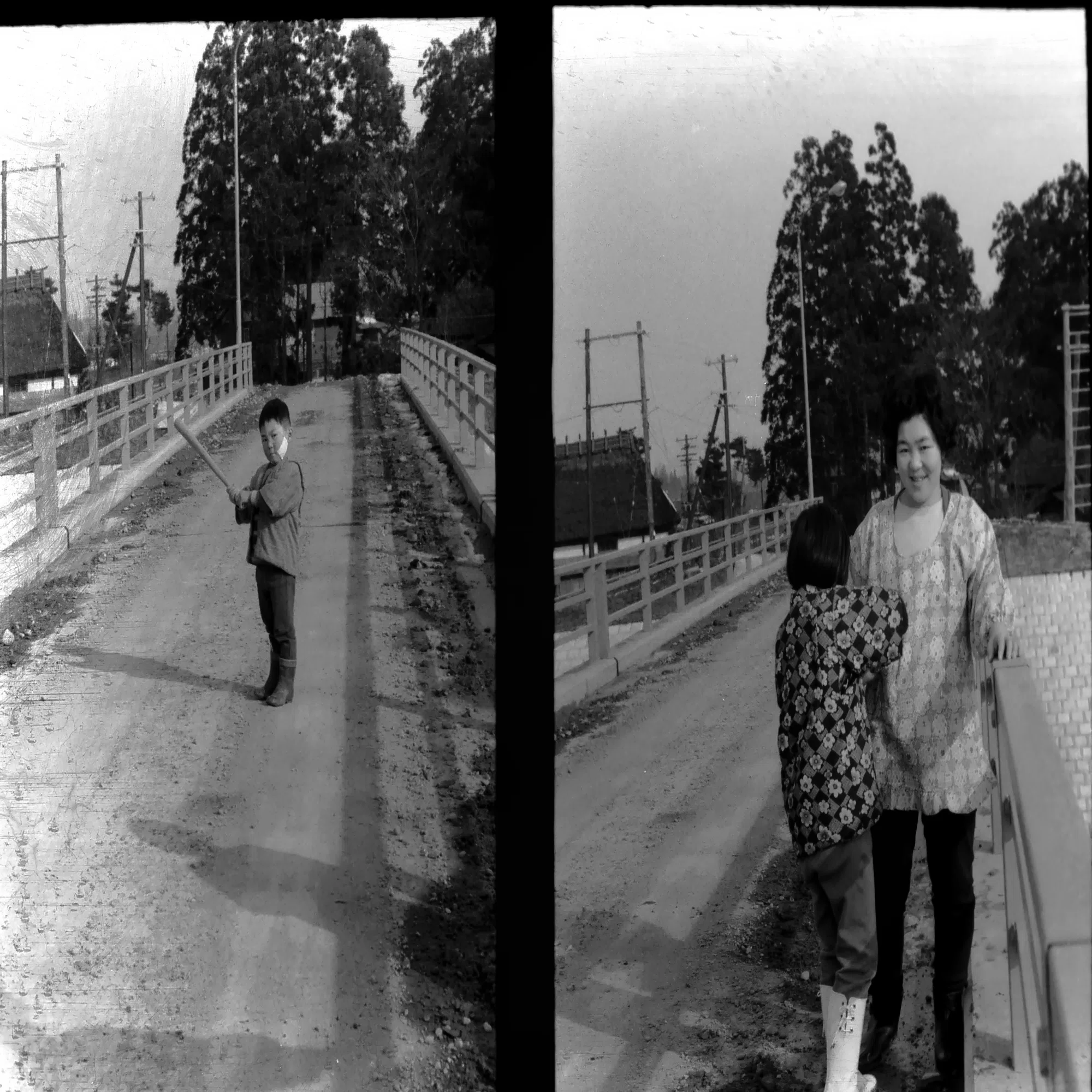フィルムカメラを始めてみませんか？｜わたらい