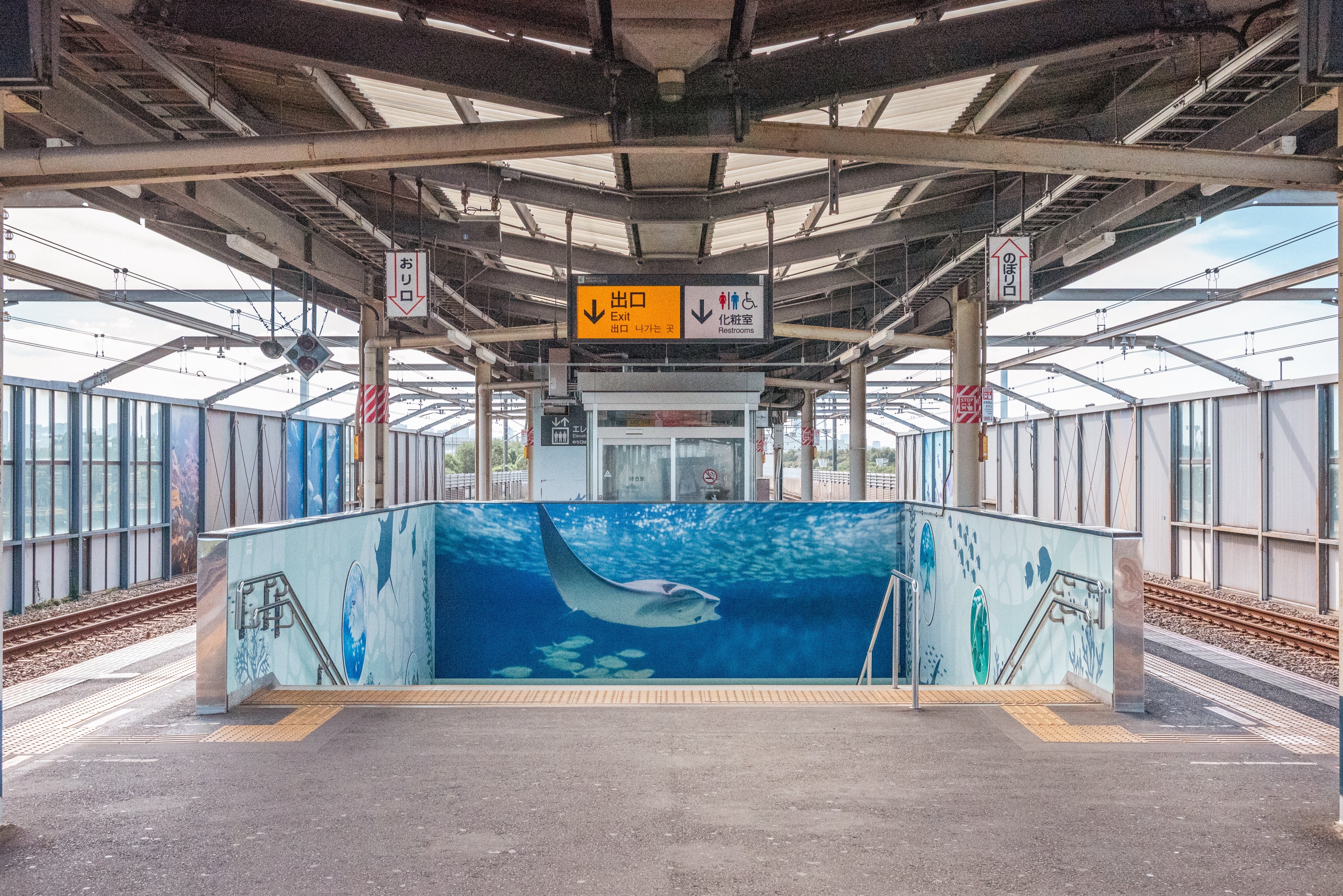 なんとなく葛西臨海水族園に行った日のこと【Nikon Z5】｜山岡