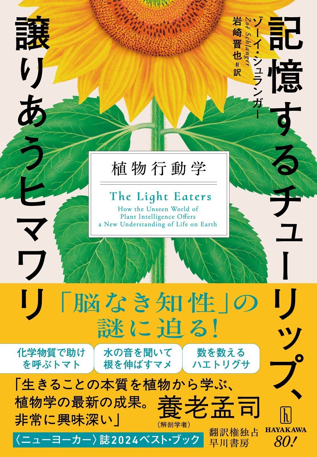 わかる人にはわかる芸術 装画を描きました。 「学芸員が教える日本美術が楽しくなる話