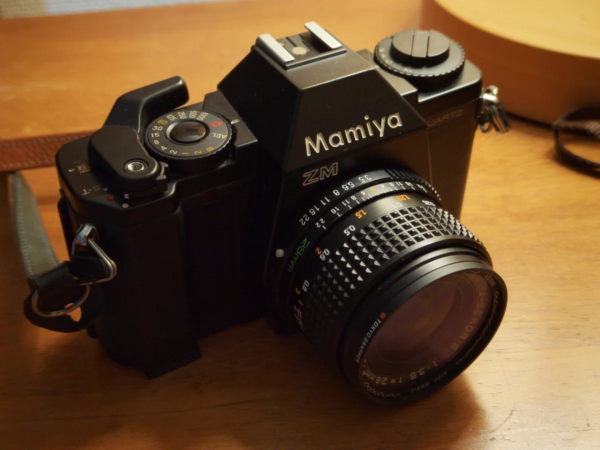 フィルムカメラを始めてみませんか？｜わたらい