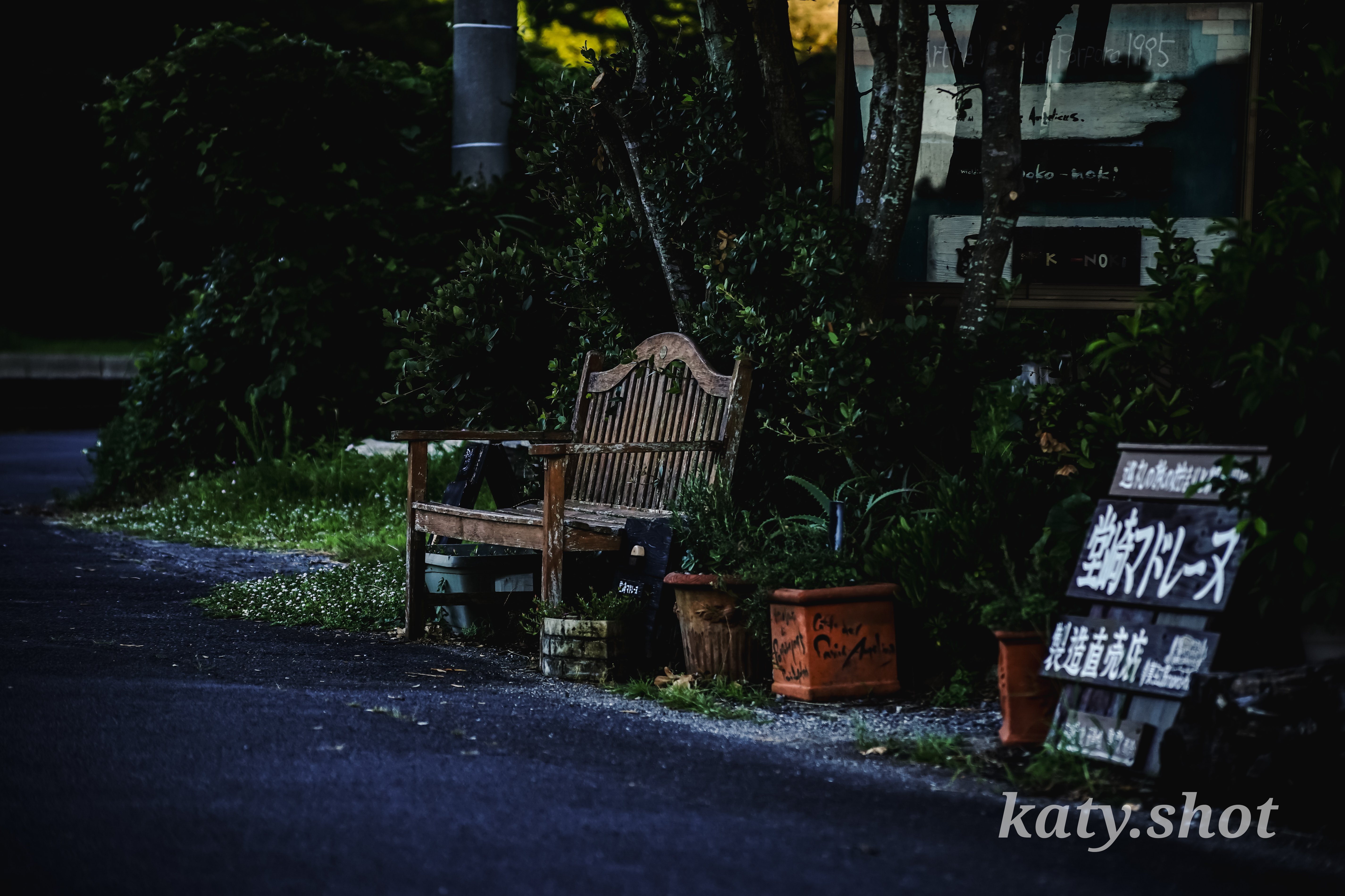 カメラ初心者必見】旅行や街角スナップに絞ってもボケる望遠レンズを