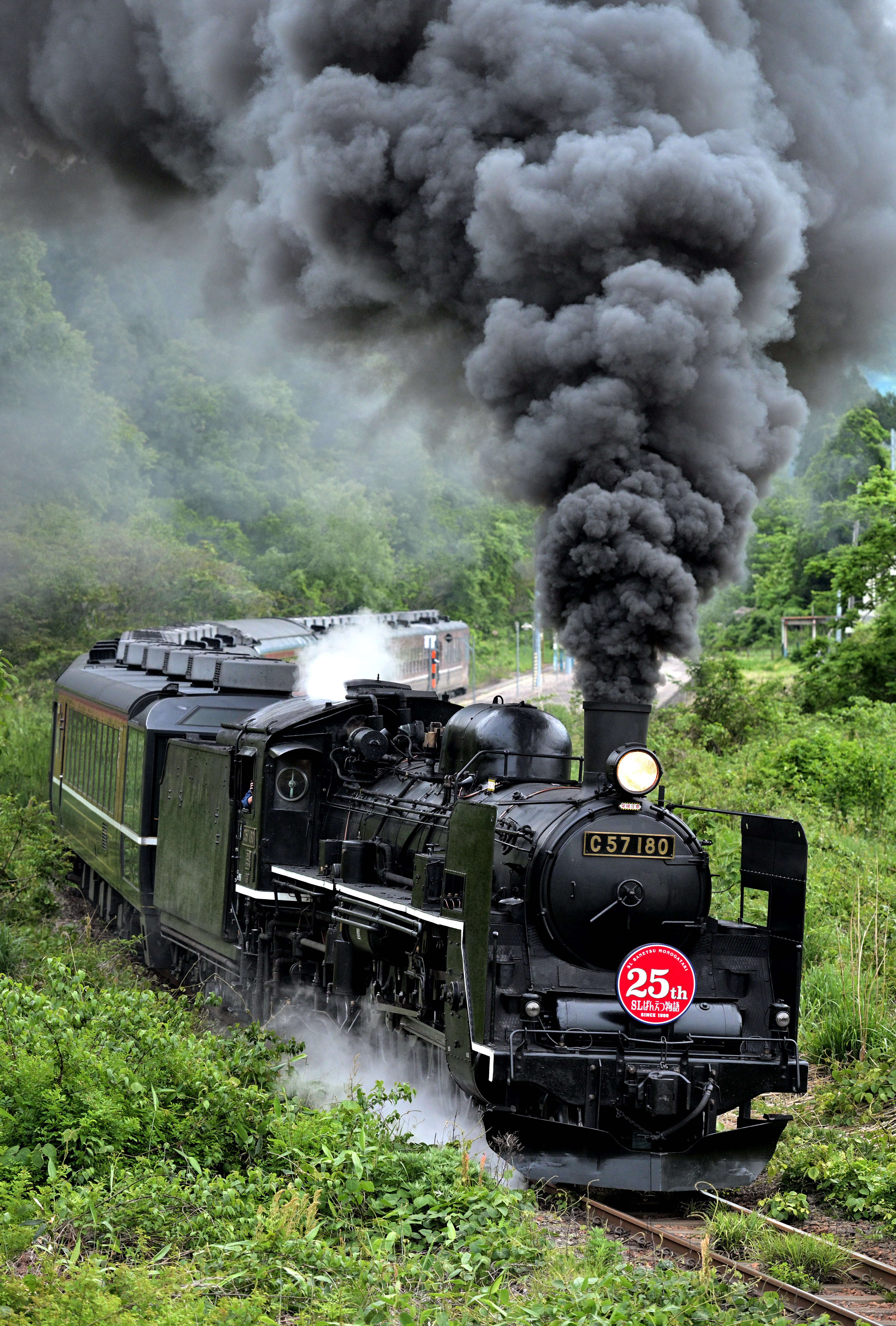 撮影記｝臨時列車まつり！初夏の新潟遠征記録｜さもこう