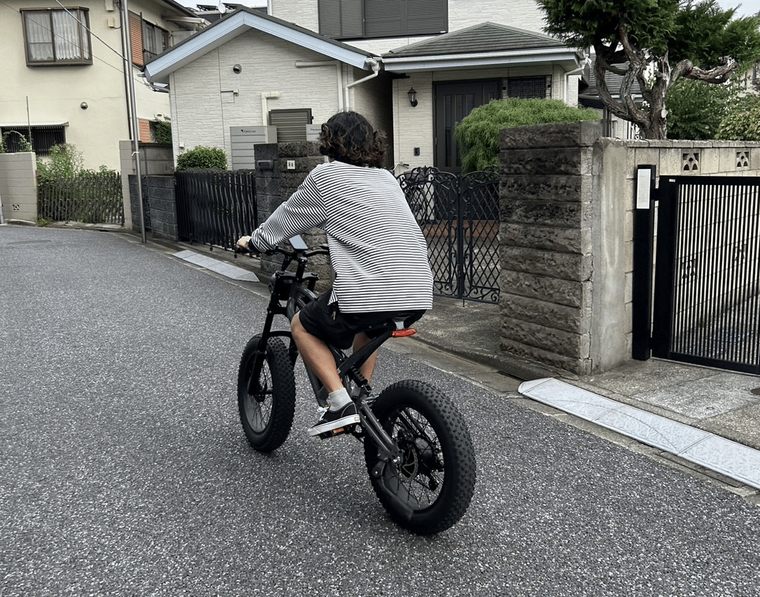 1年乗ってみて【街乗り×見た目】Eバイク初心者が選んだWO M2X