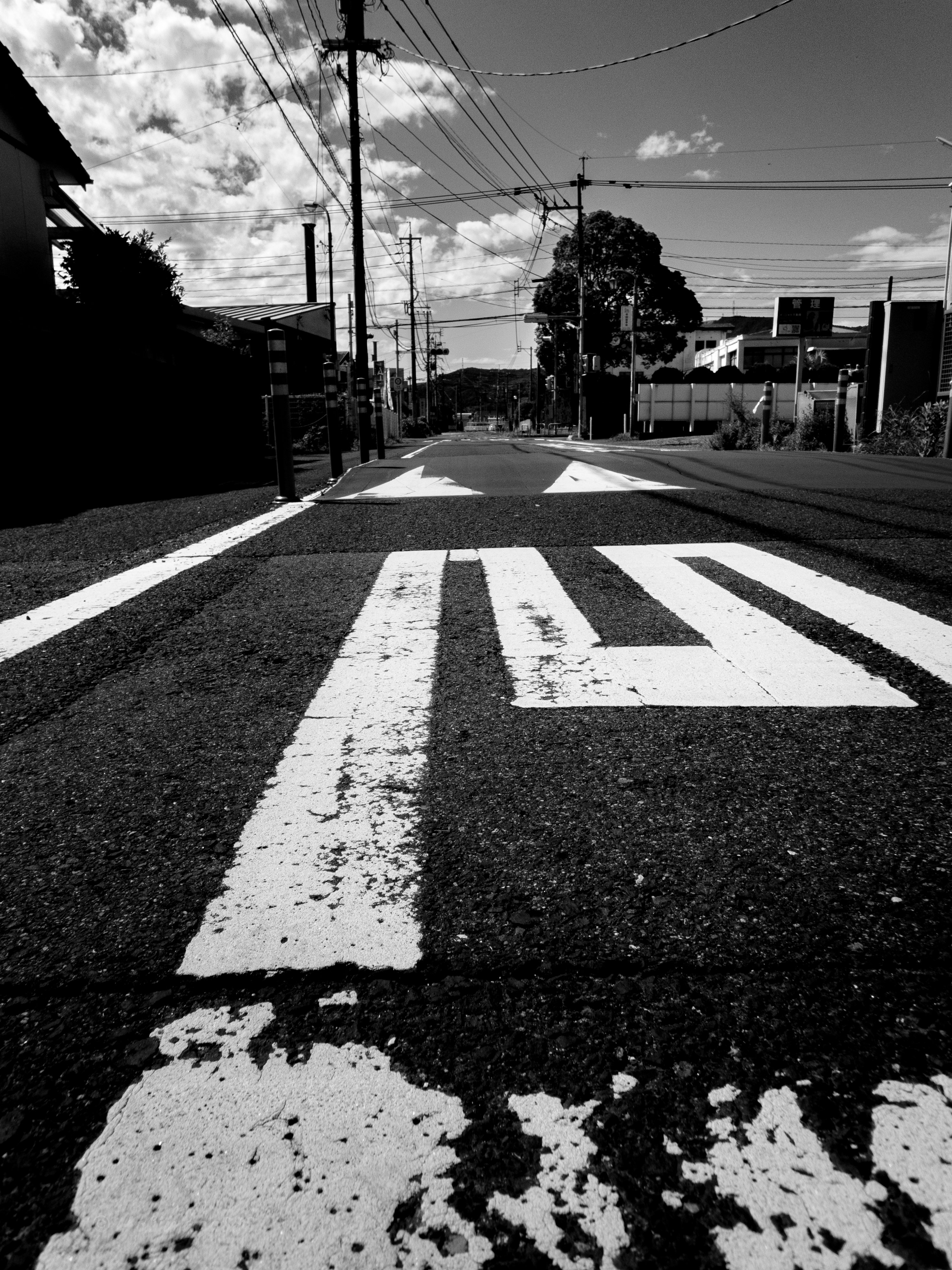上から撮影した写真 両極端なカメラで撮った週末の写真たち｜ほびマガ