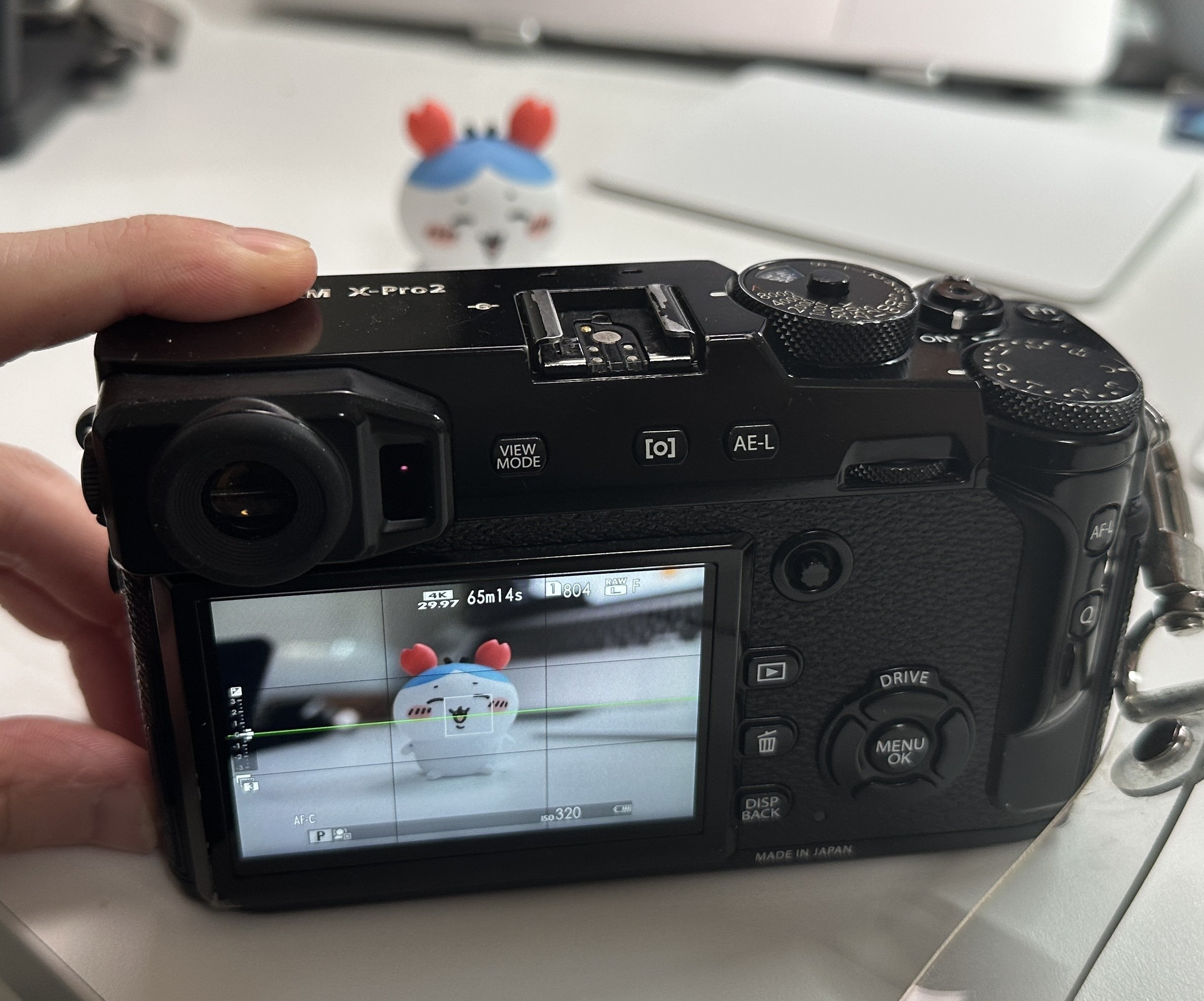 FUJIFILM X-Pro2 という最高のカメラを手放すにあたり （作例