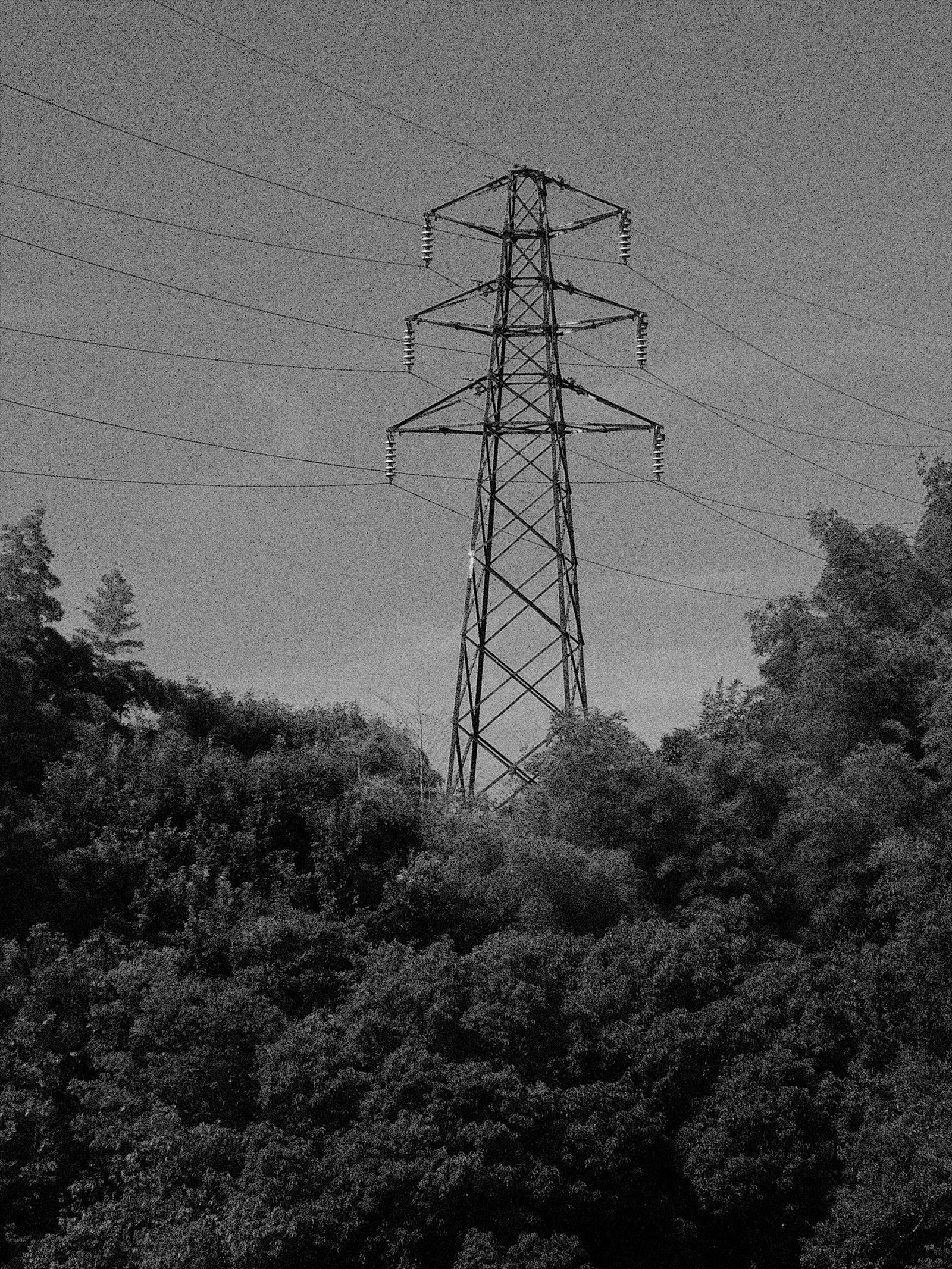 コニカミノルタのDiMAGE Z5のモノクロがなかなか良い。｜竹村稔の写真