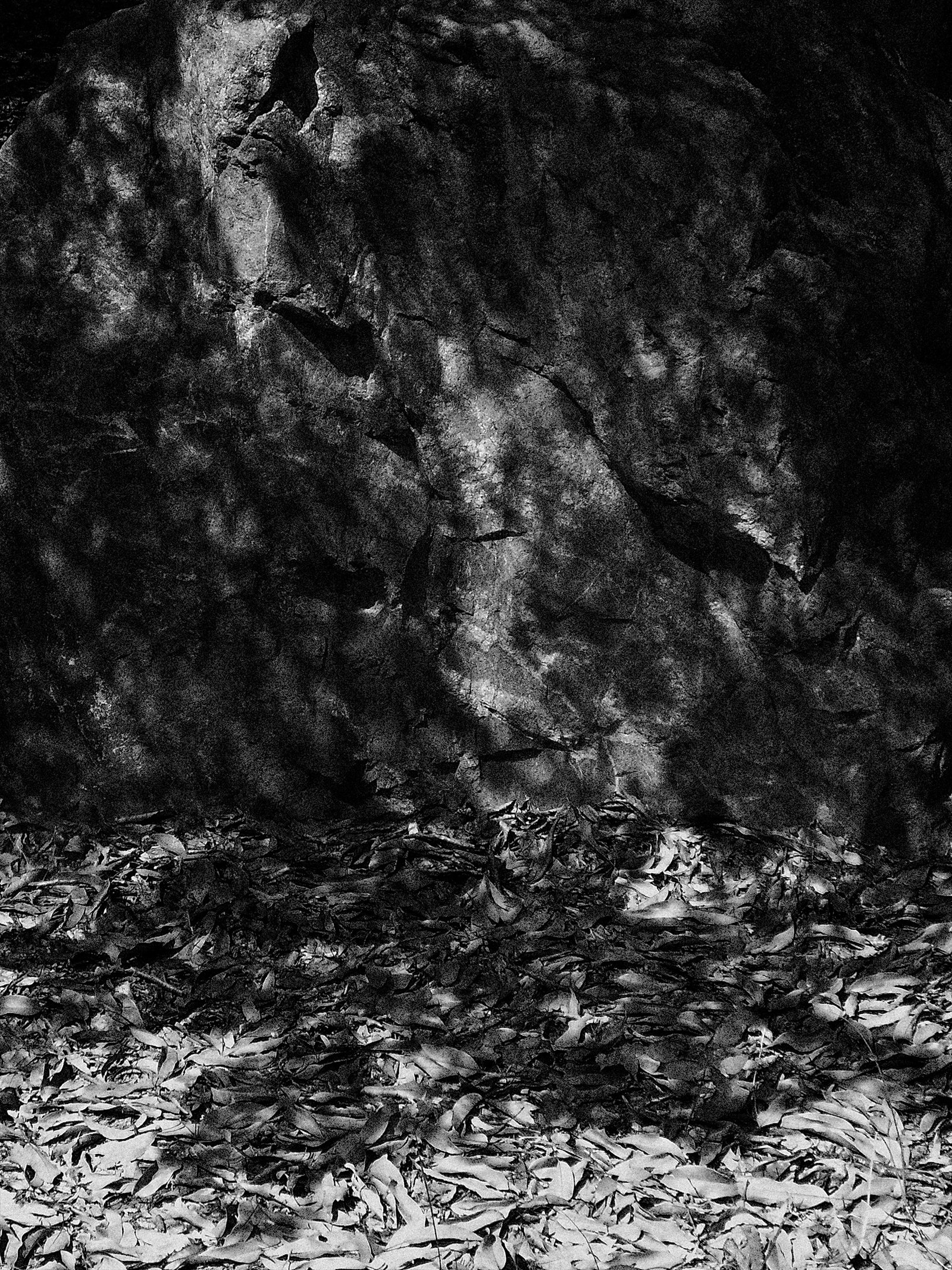 コニカミノルタのDiMAGE Z5のモノクロがなかなか良い。｜竹村稔の写真