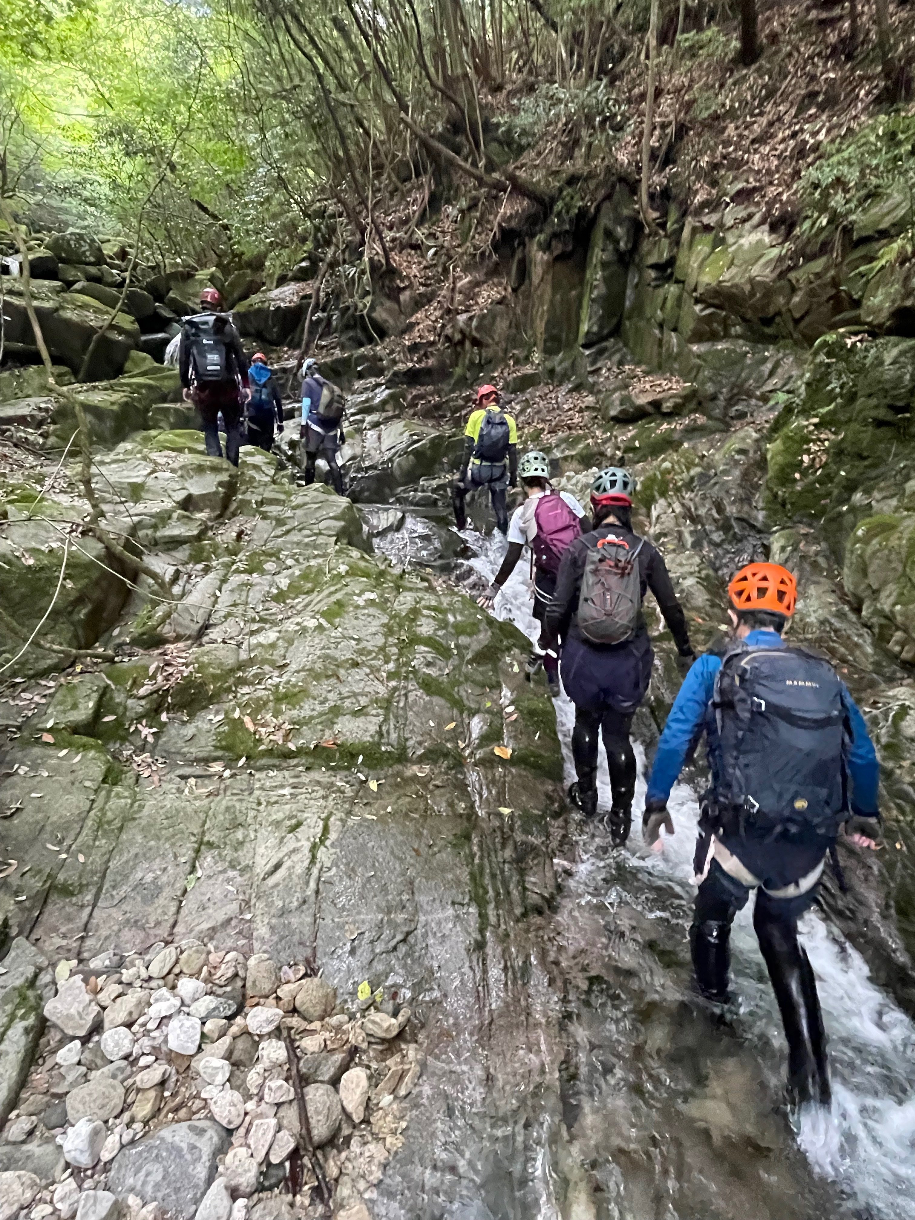 沢登り 2021年6月26日 秋田県 桃洞沢（とうどさわ）・赤水沢 沢登り | 山岳