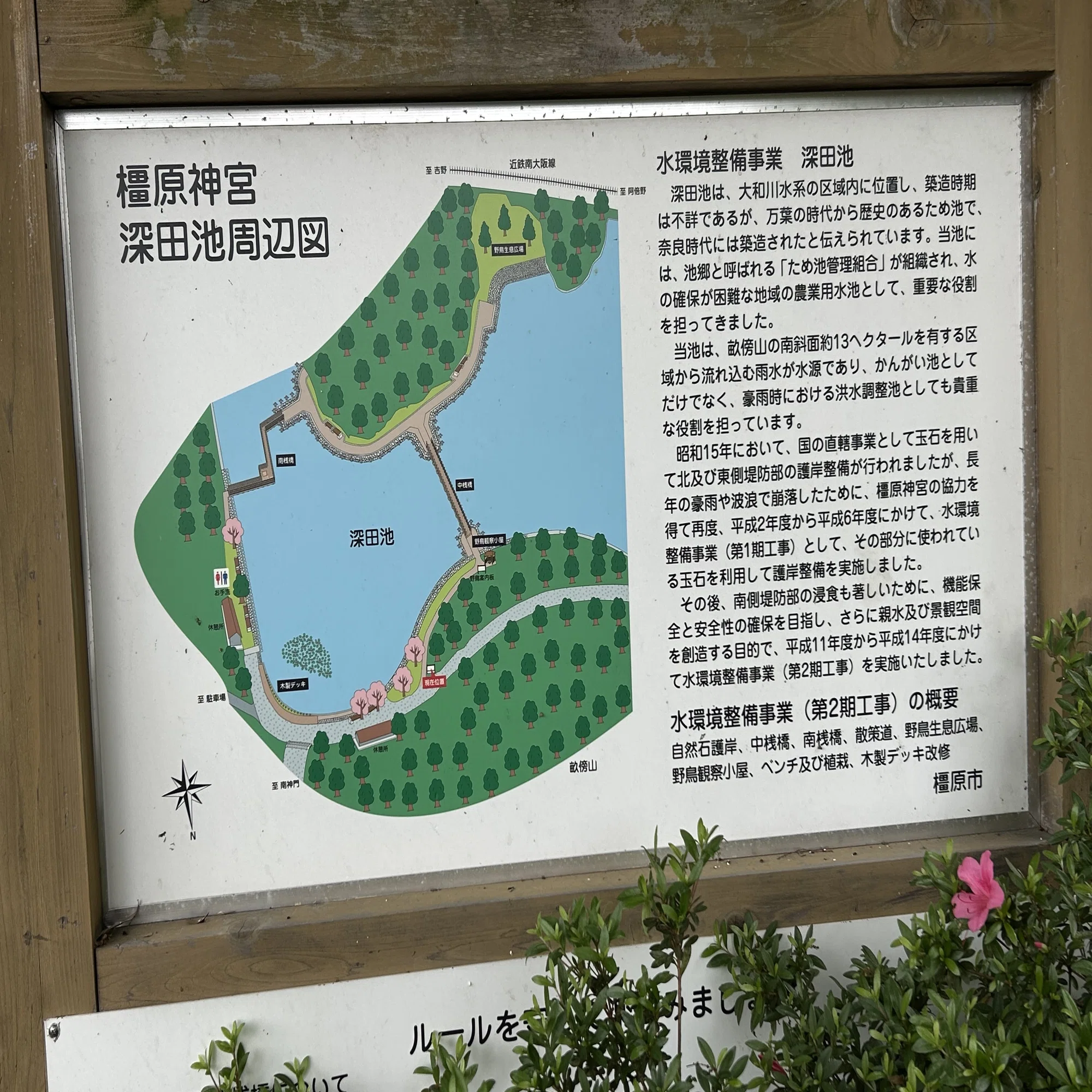 奈良見聞録6-3（橿原神宮の深田池）｜kazu_7138