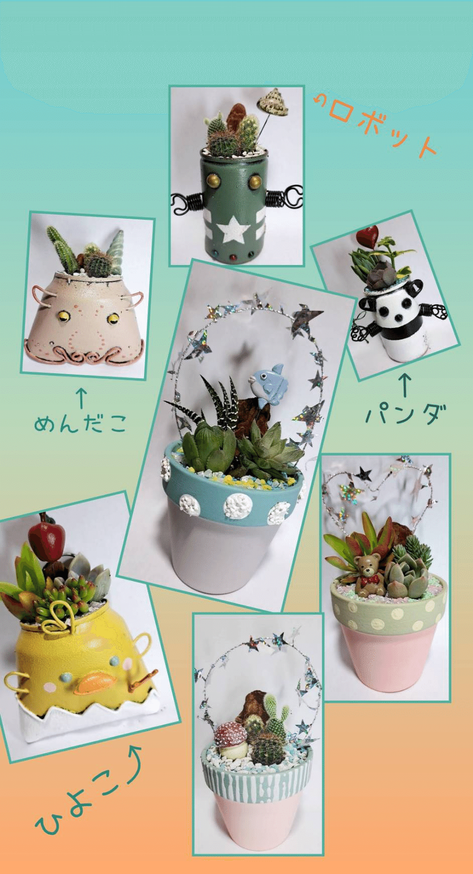 8/10㊐ /多肉寄せ植え/夏休み大人も子どもも毎日がワークショップ｜夢