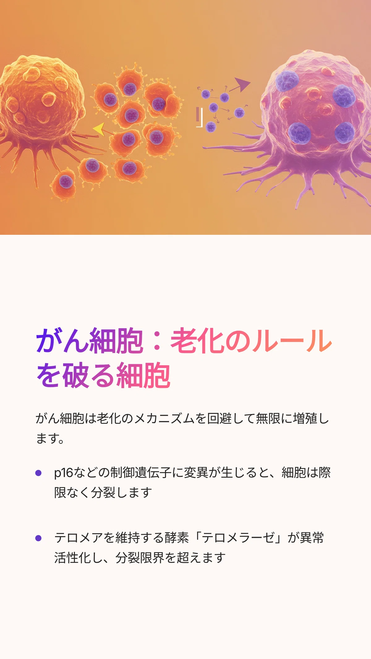 細胞の老化とその関係：がんの発生メカニズムと予防」｜松尾靖隆