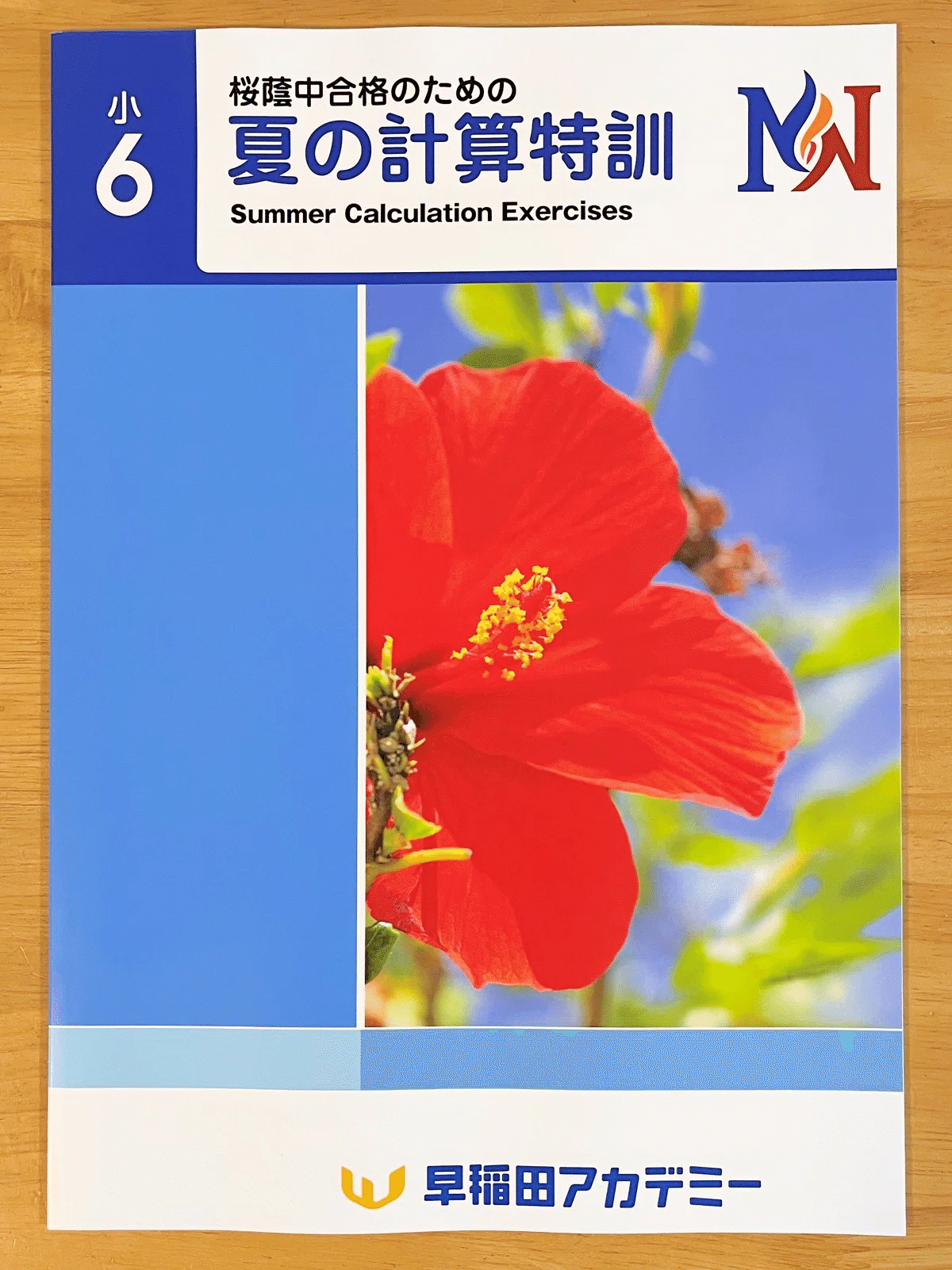 中学受験】小6α1娘のサピックス夏期講習徹底攻略【夏の学習日記