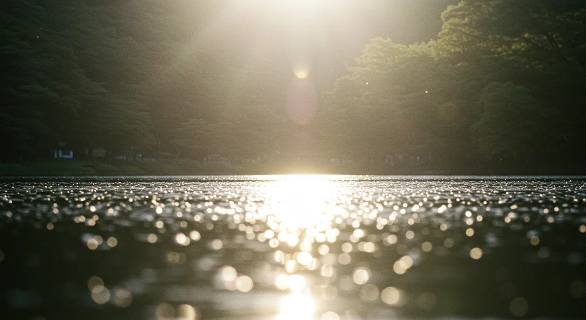水面のギラつきによる「見えなさ」を象徴的に表現した写真。
