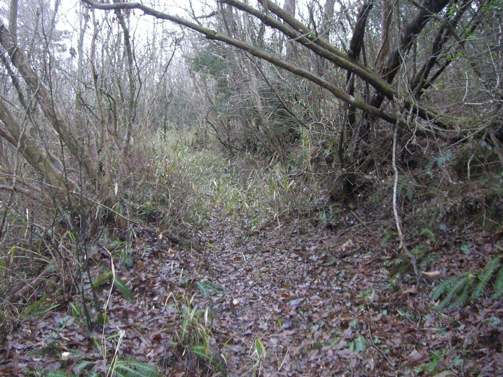 山登り人生VOL672全国難読山名サミット1位の一尺八寸山へ ｜させぼ山酔