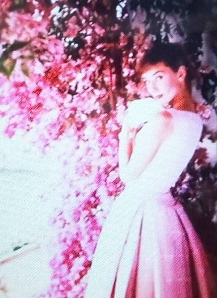 365日色の話＋ オードリー・ヘップバーンは「ピンクを信じていた