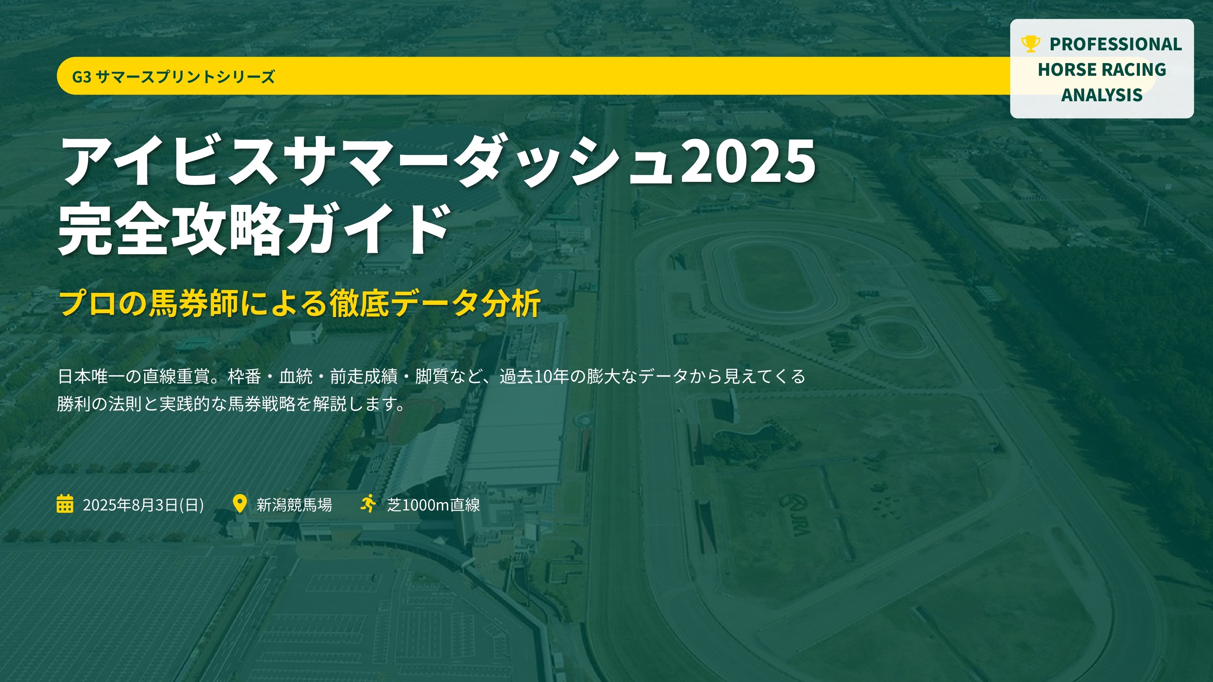 新潟競馬場 限定【新品未使用】アイビスサマーダッシュ 2025 トートバッグ 2025年最新】Yahoo!オークション -アイビスサマーダッシュの中古