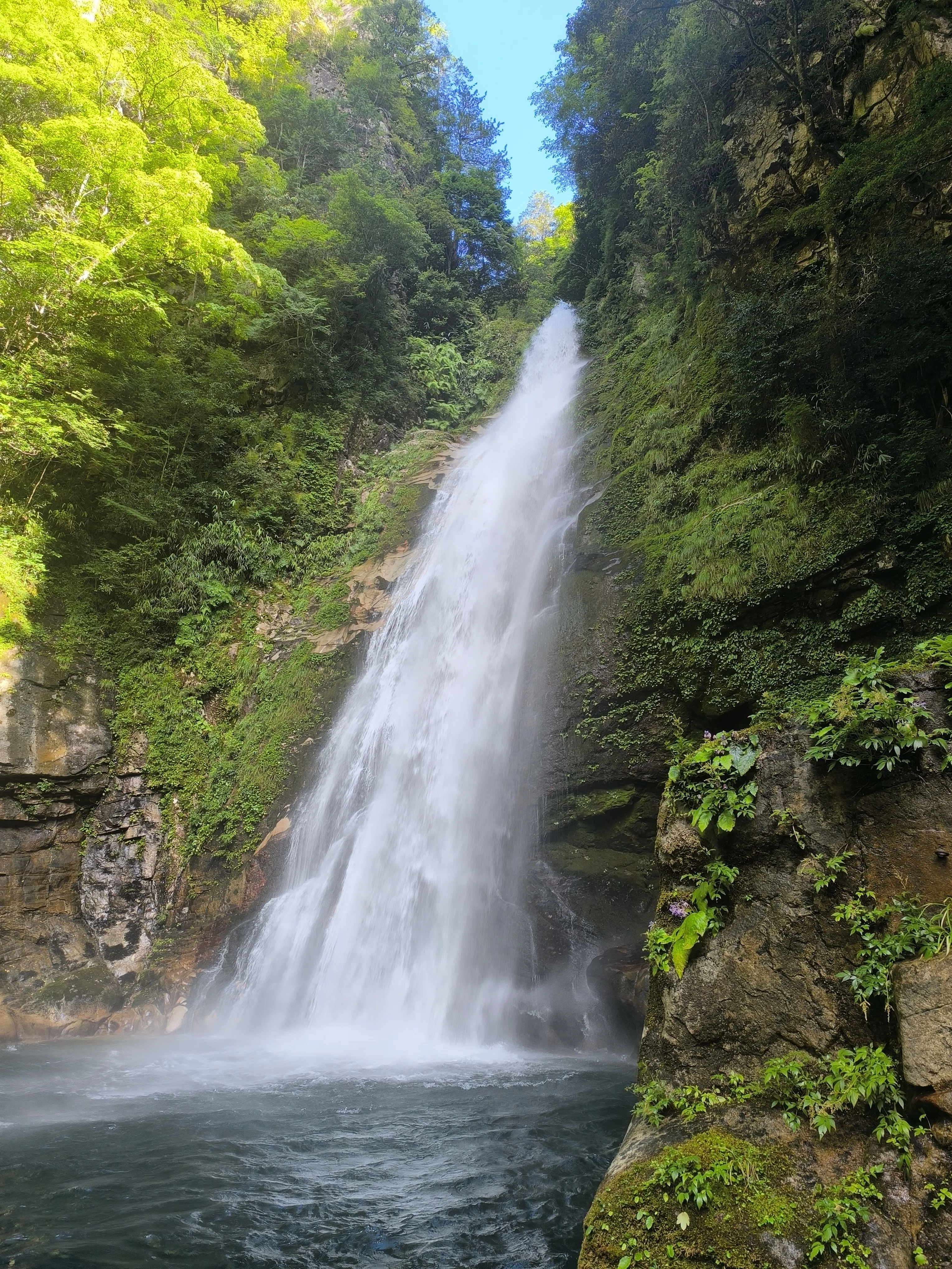 笹の滝、素晴らしい滝だった。（十津川）｜金弘明 Kim,Hongmyong