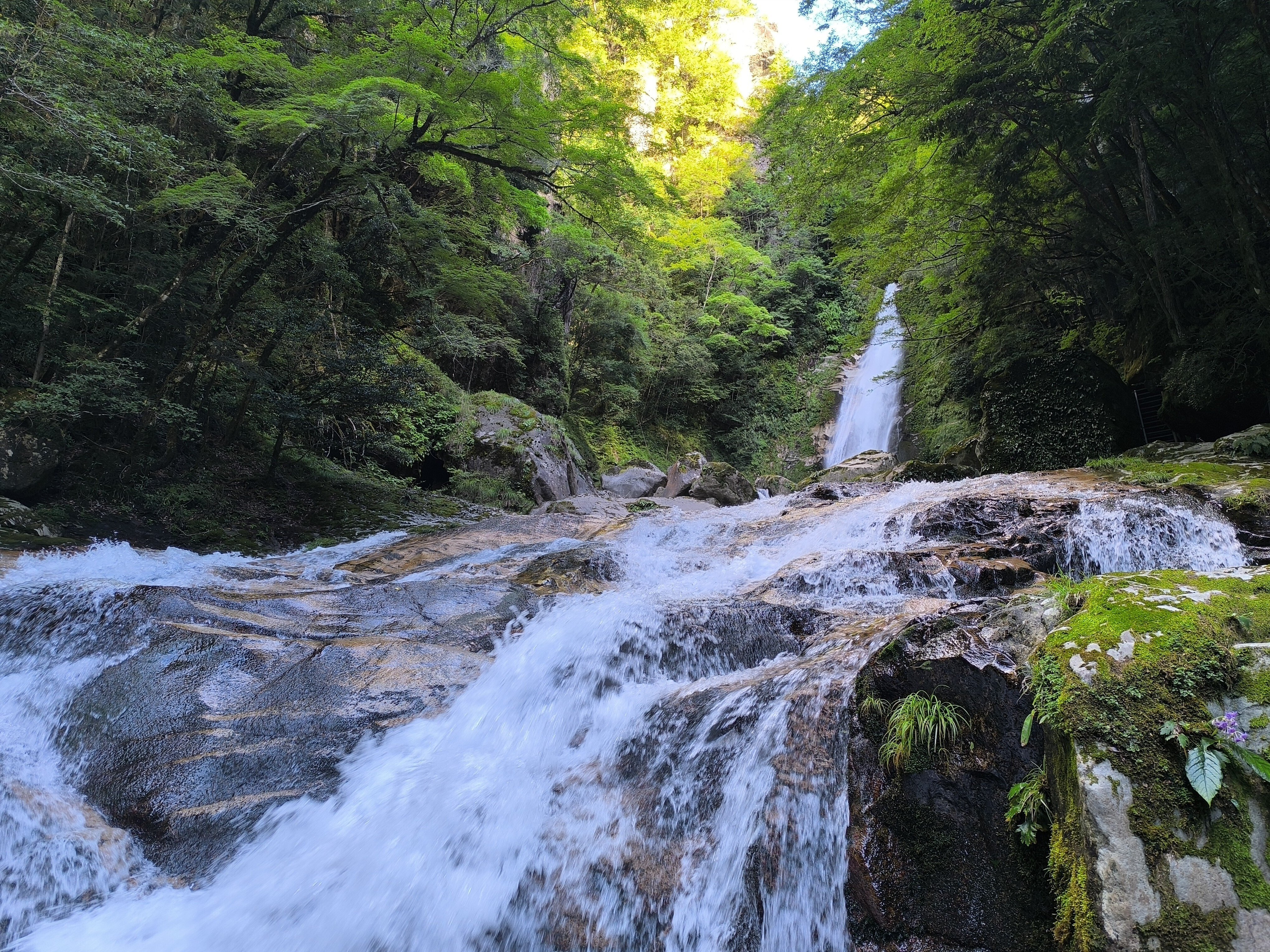 笹の滝、素晴らしい滝だった。（十津川）｜金弘明 Kim,Hongmyong