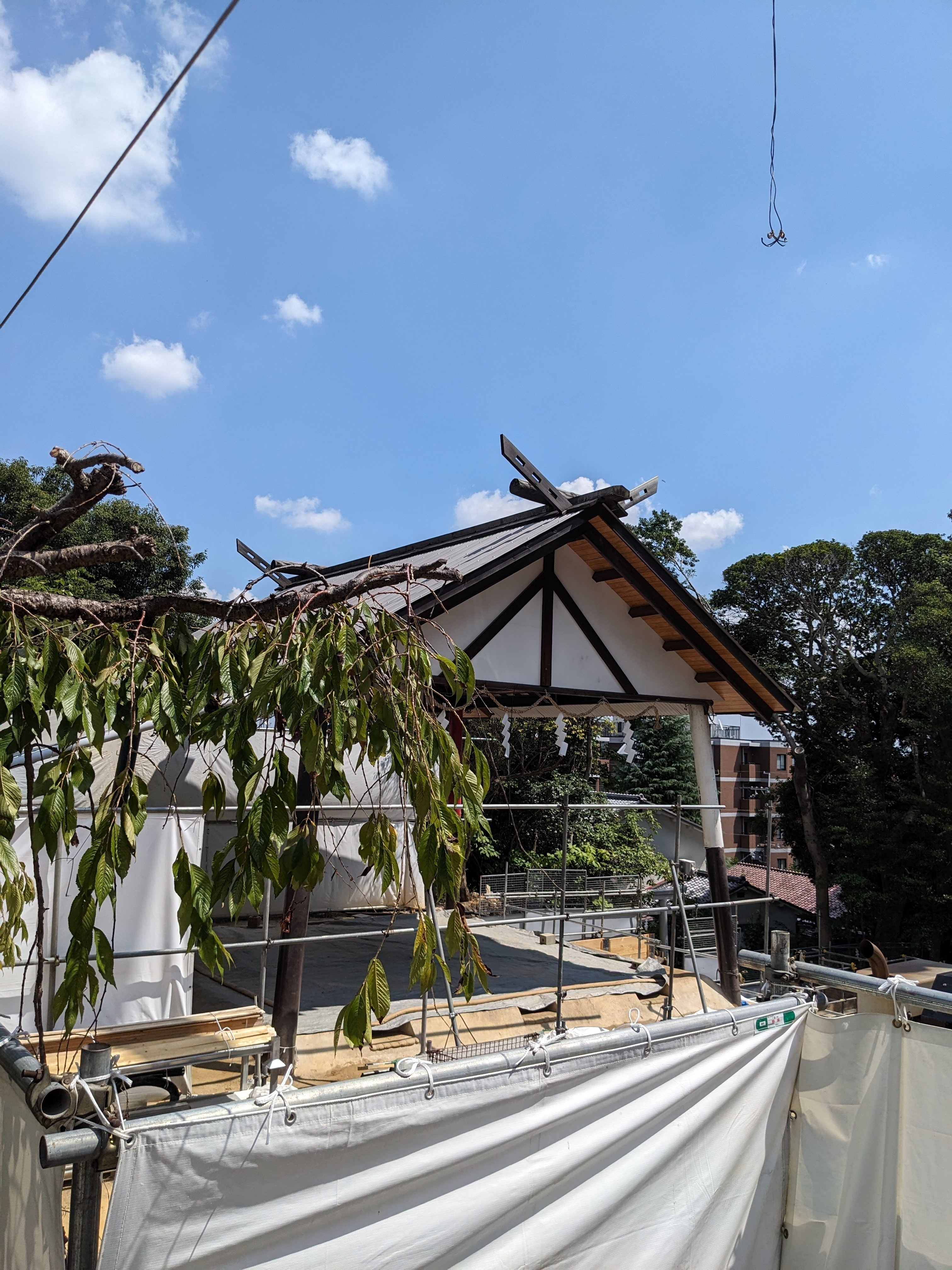 日本の全市区町村を巡る旅🤙A journey to visit all the cities