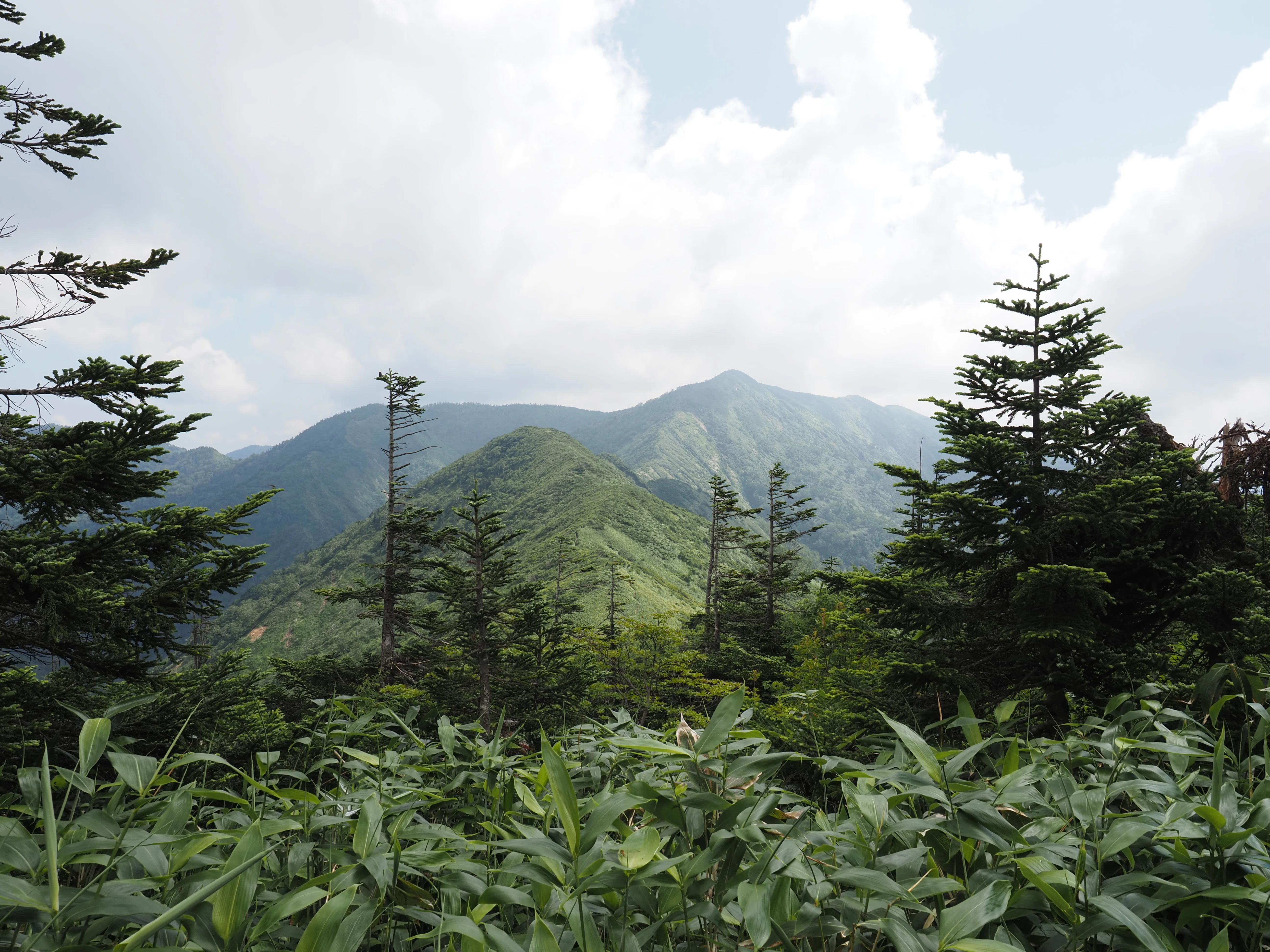 山登ろ 〜 白砂山、八間山｜Takeshi Hatori