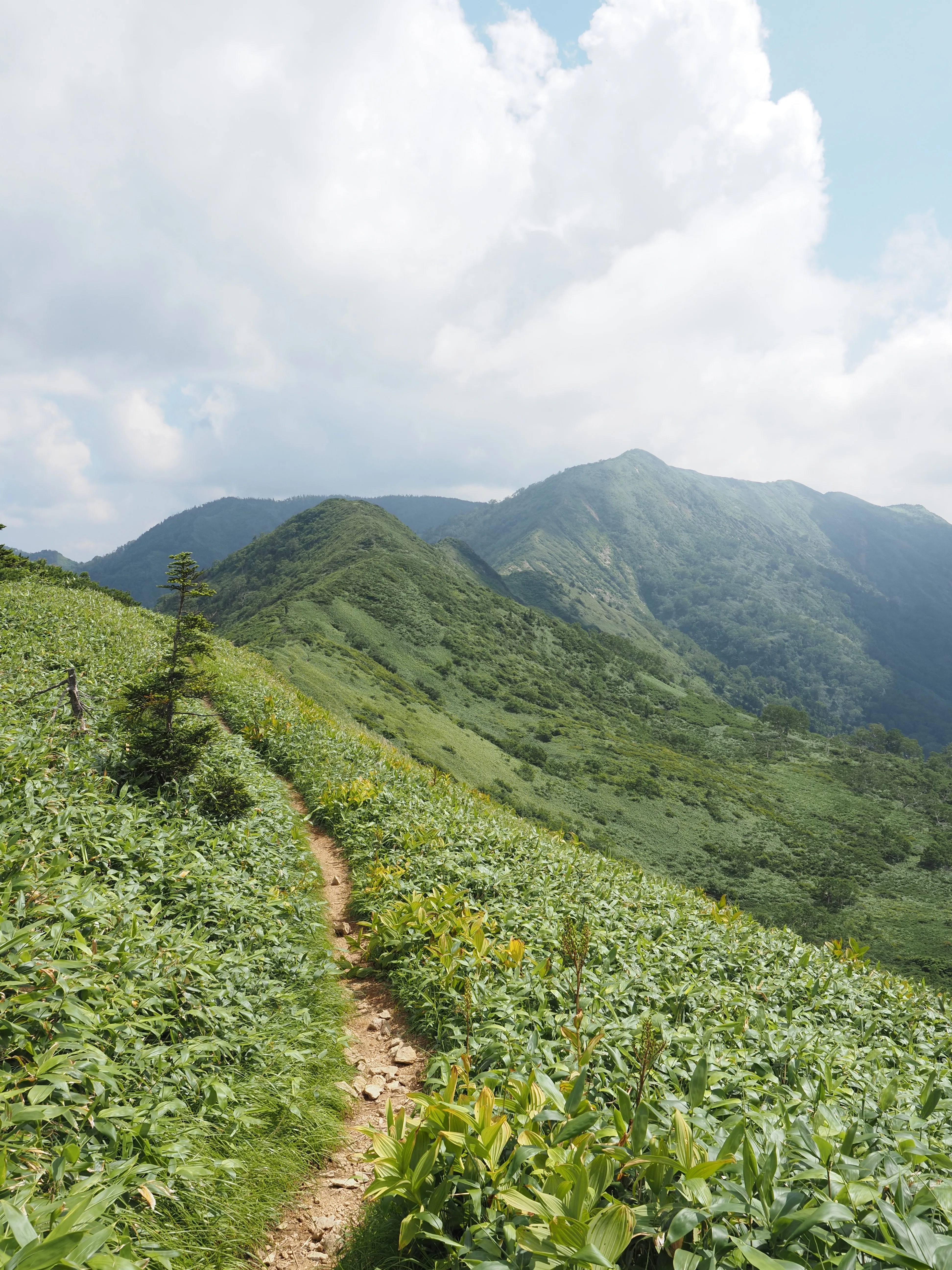 山登ろ 〜 白砂山、八間山｜Takeshi Hatori