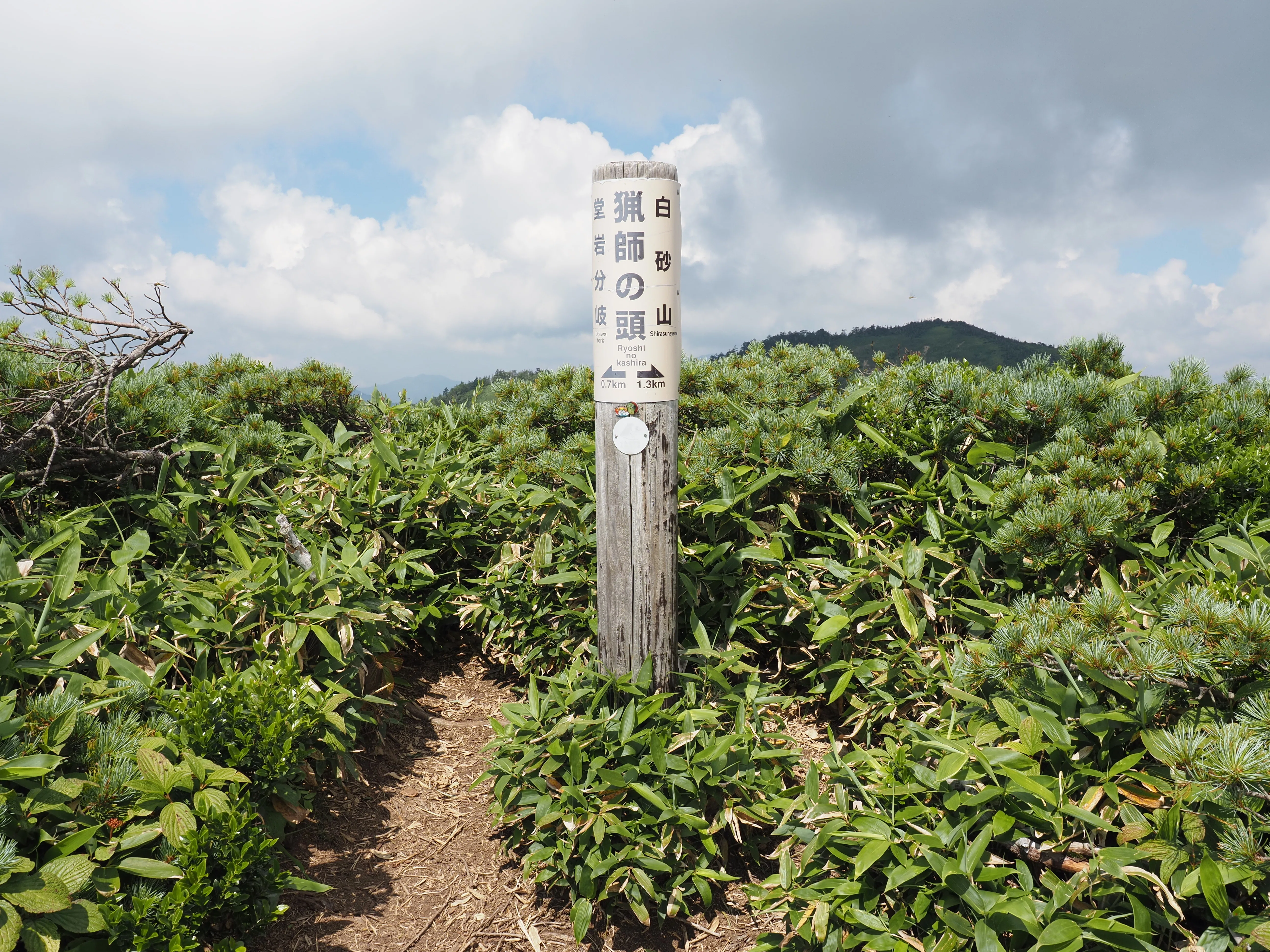 山登ろ 〜 白砂山、八間山｜Takeshi Hatori