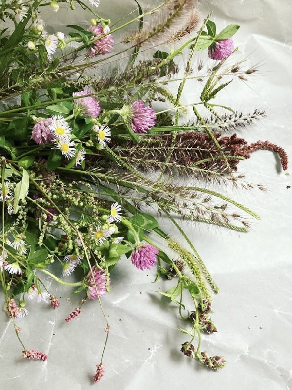 野草ブーケをつくりたい｜kawa