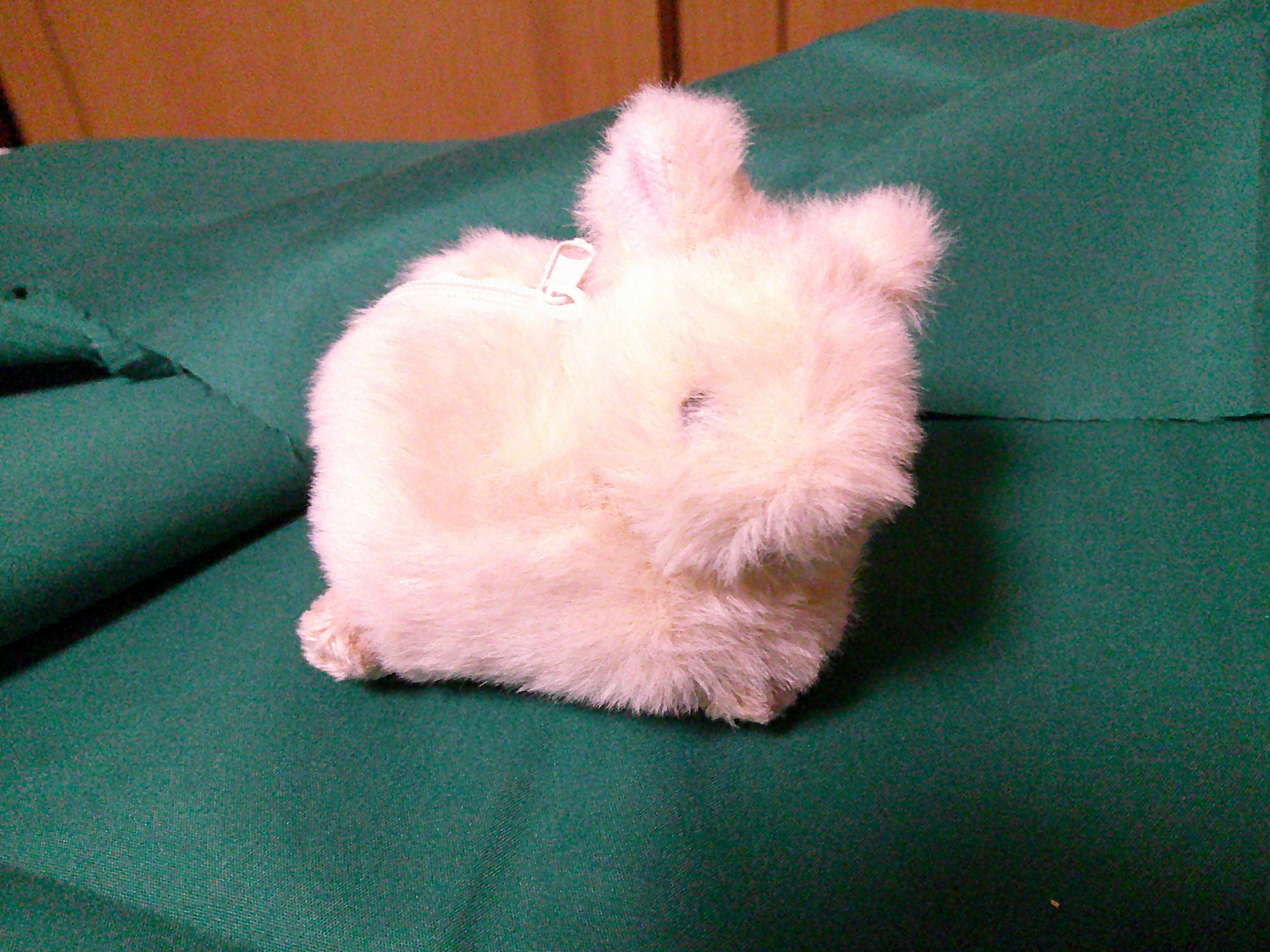 小さいうさぎ｜骨組みとニューティー