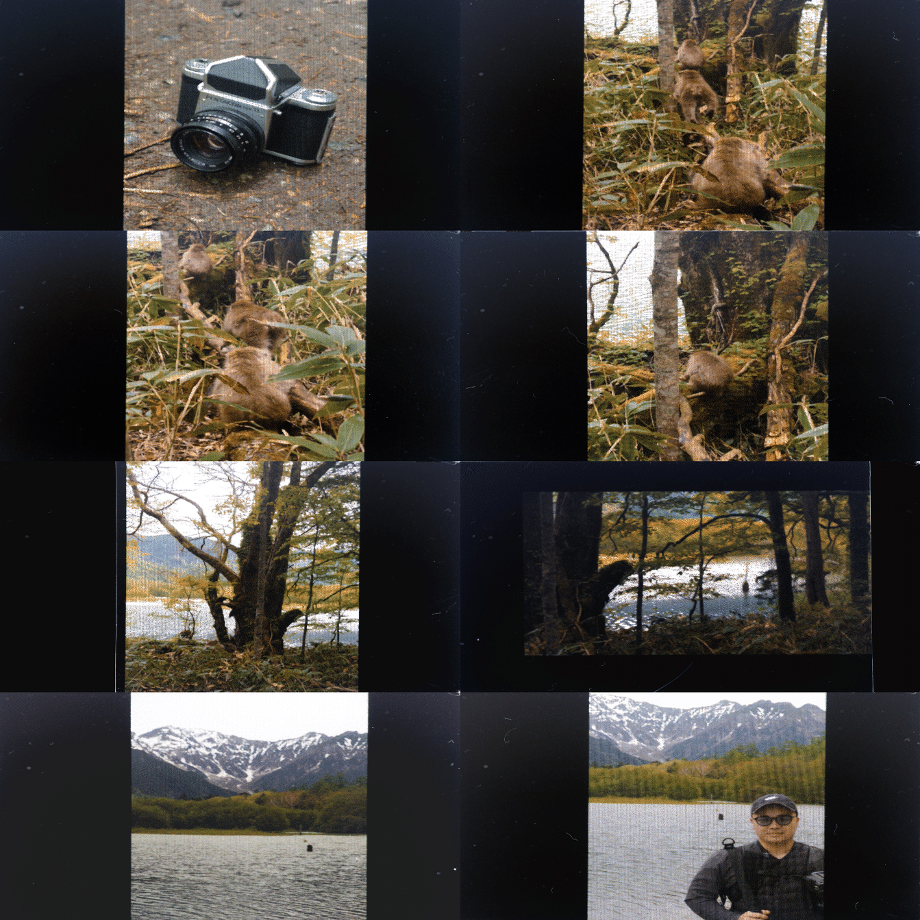 デジタル写真でネガフィルムをつくる｜melky