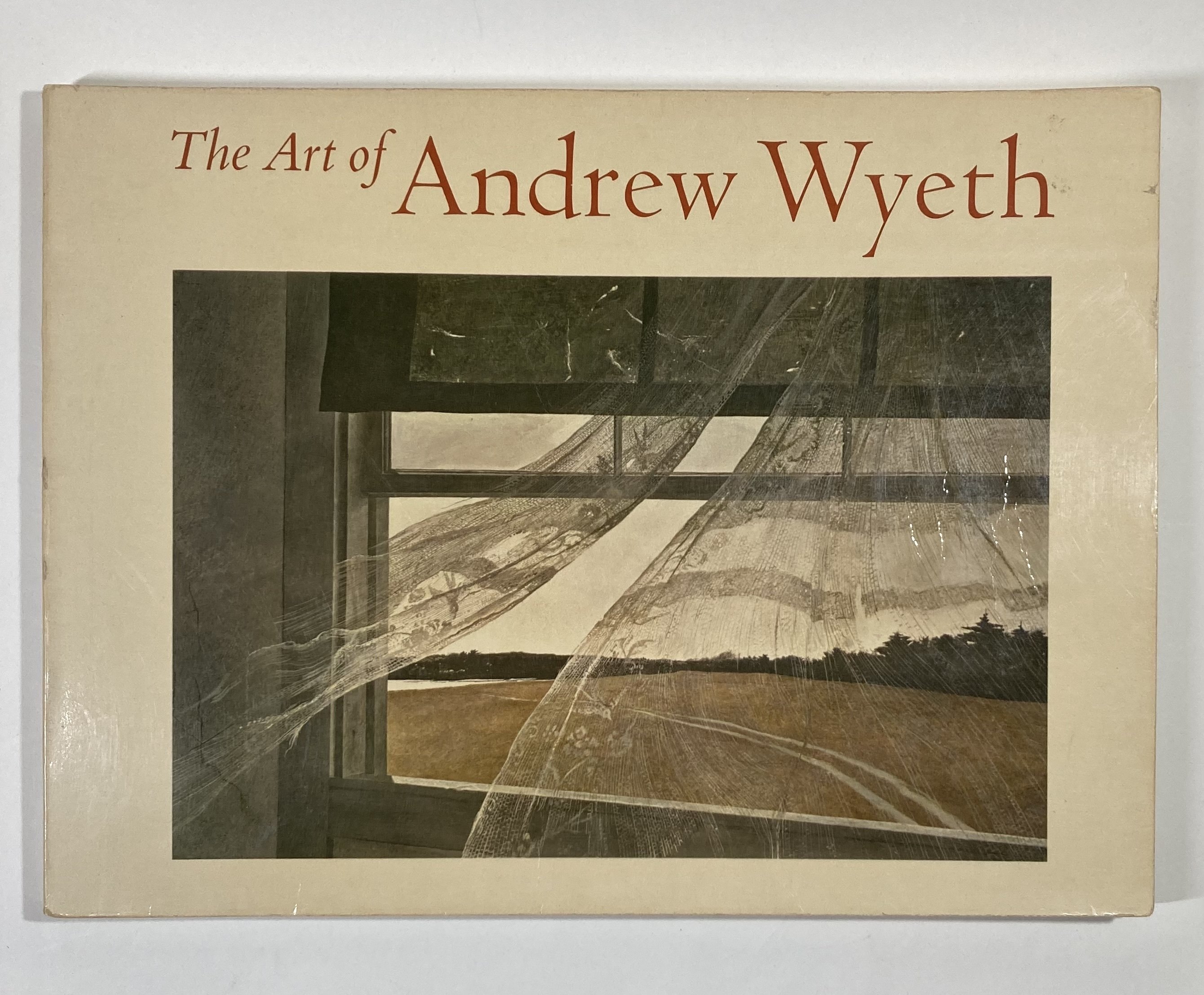 洋書　ワイエス　Wyeth WYETH: Andrew & Jamie in the Studio (洋書) - メルカリ