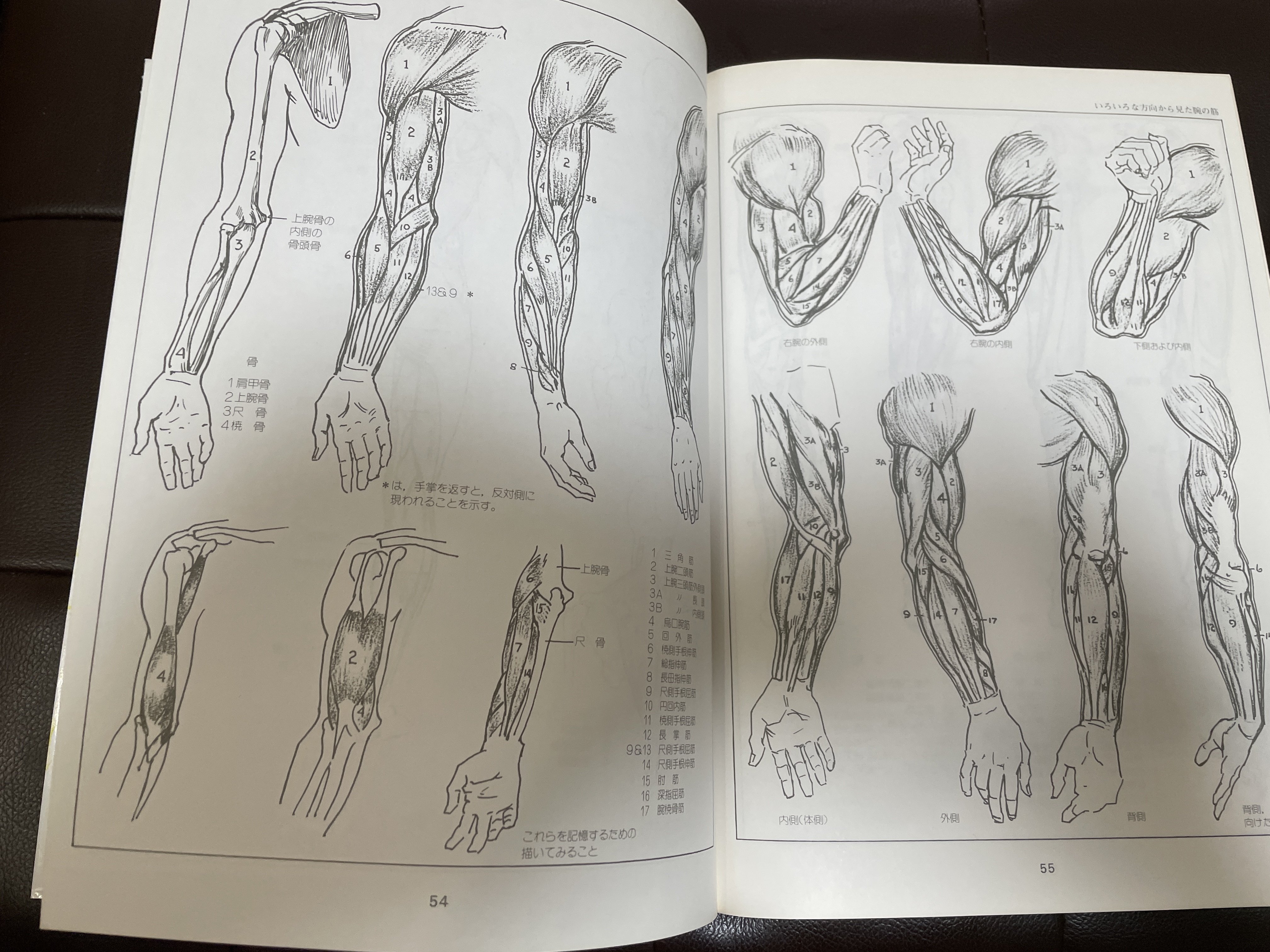 アニメーターやデッサンの為の参考資料 （洋書7冊） アニメーターやデッサンの為の参考資料 （洋書7冊）