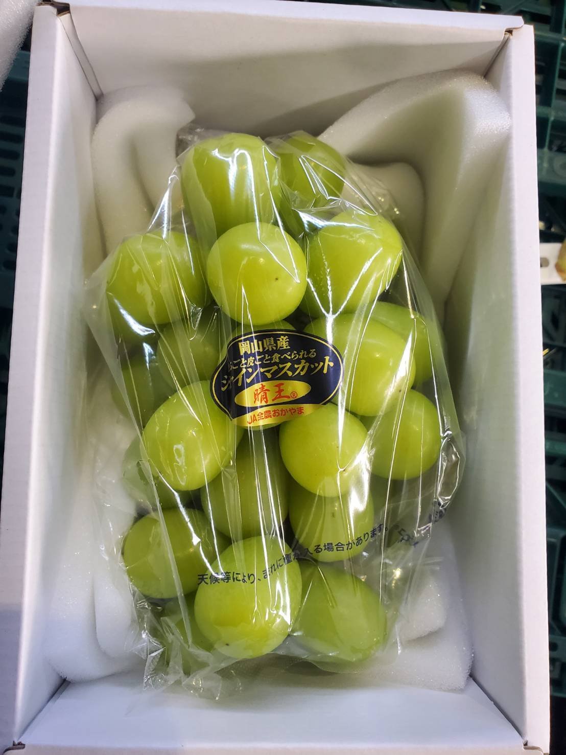 岡山のシャインマスカット晴王®の魅力と特徴をご紹介！｜ふるさとのかほり