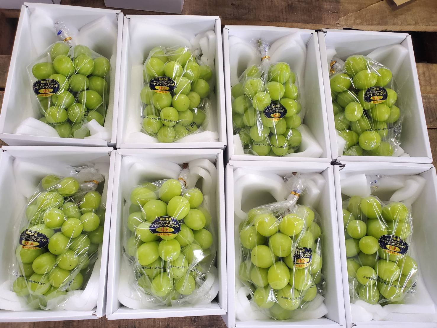 岡山のシャインマスカット晴王®の魅力と特徴をご紹介！｜ふるさとのかほり