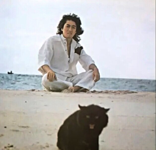 沢田研二⭐︎greenboy・笑う動物 沢田研二⭐︎greenboy・笑う