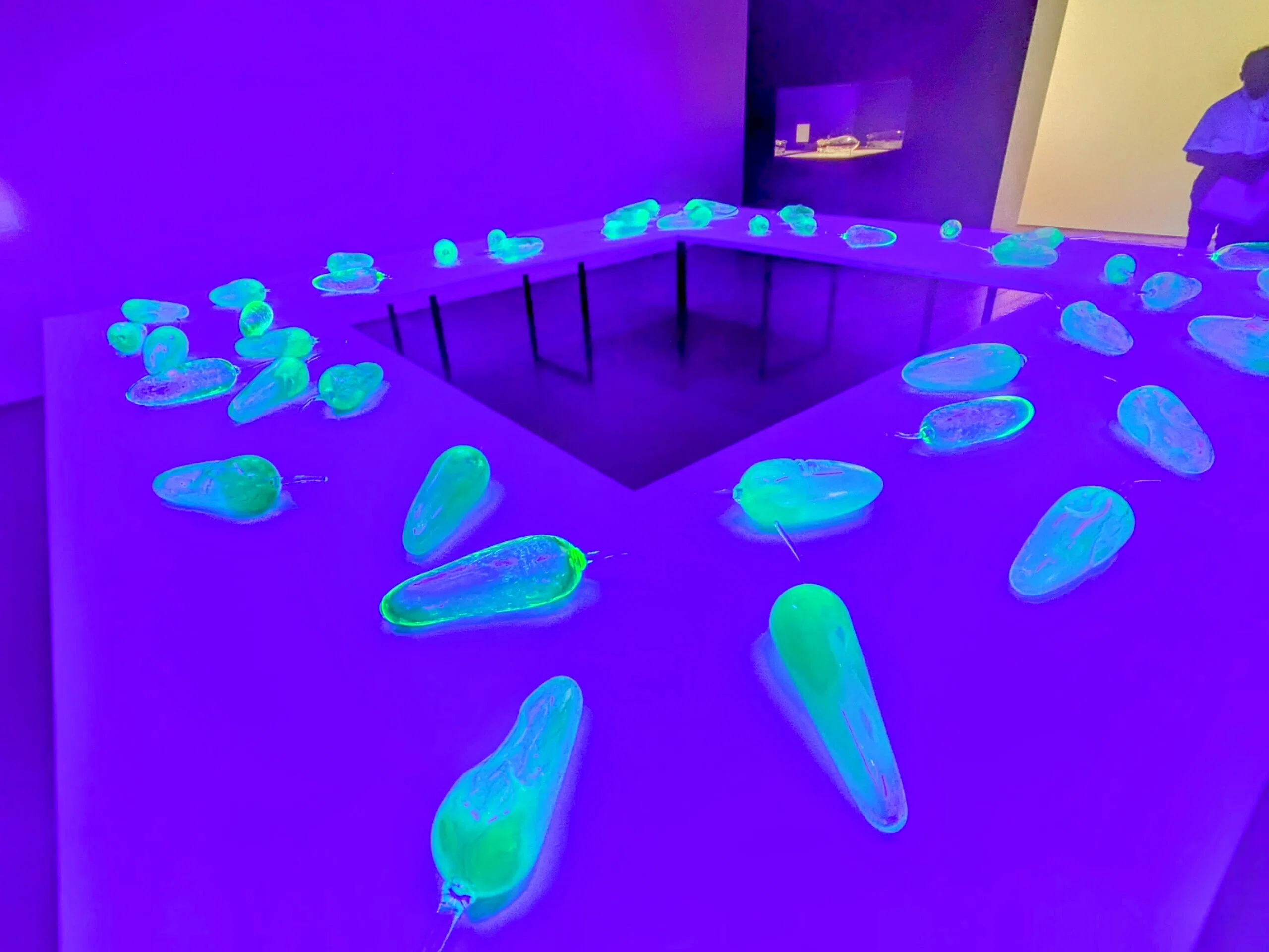 アーティゾン美術館「彼女たちのアボリジナル・アート」展レビュー