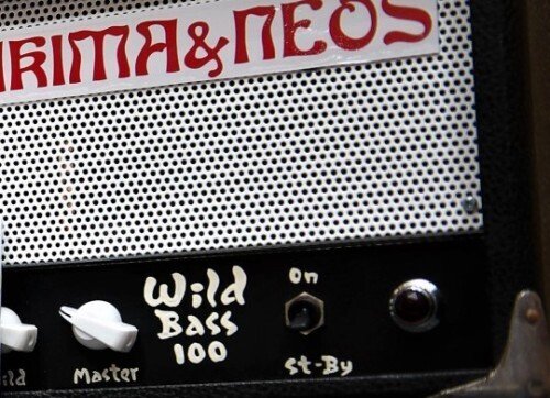 ワイルドサイドで「 ストンプ ( 踊れ ) 」！｜Freedom Custom