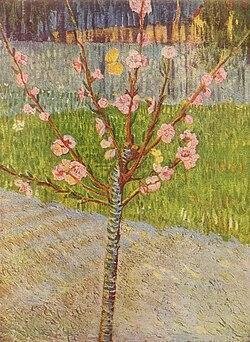 フィンセント・ファン・ゴッホ 花咲くアーモンドの木の枝 模写自作 油彩画 G10 Amazon.co.jp: フィンセント ファン ゴッホ 抽象画『花咲く